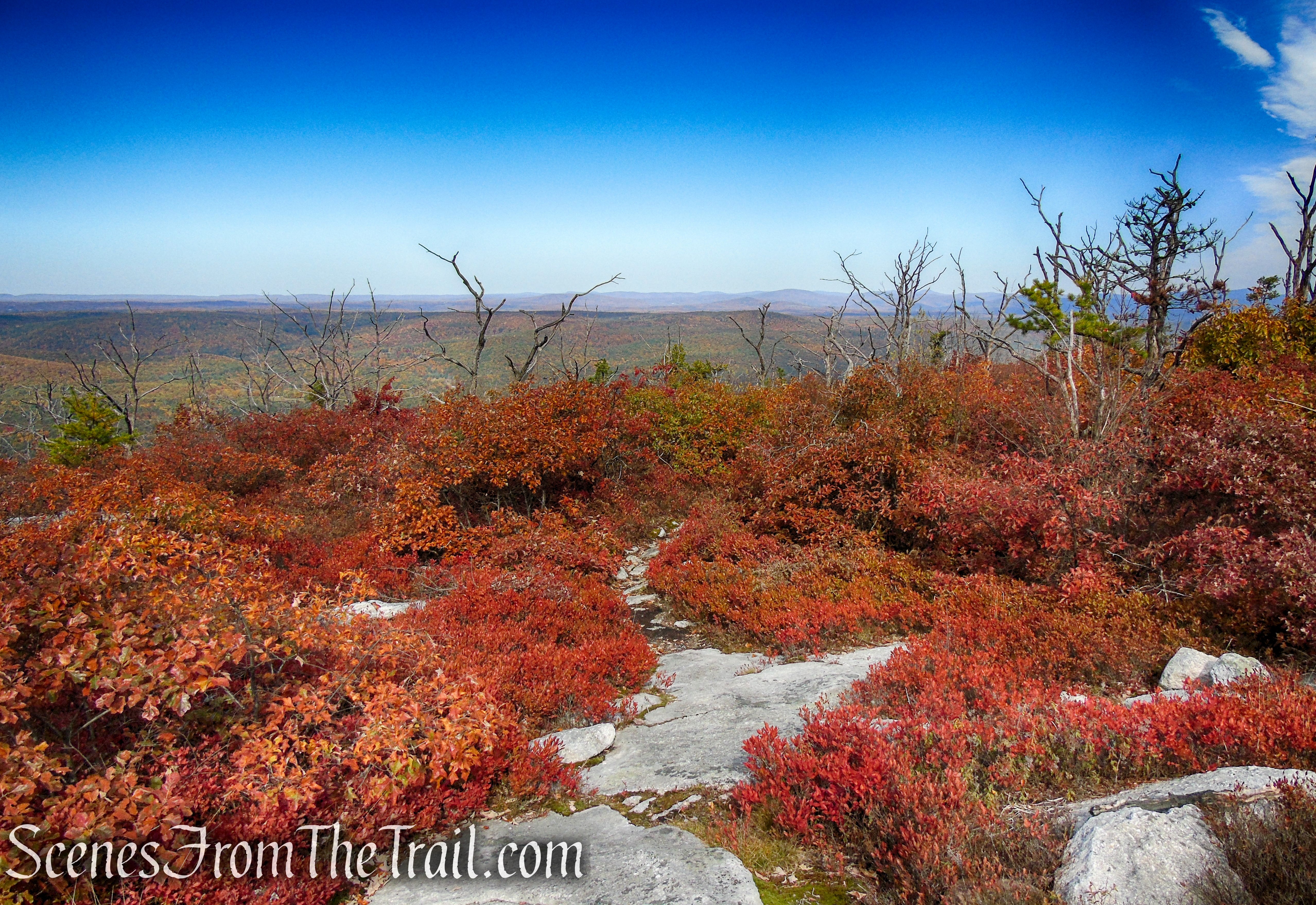 Long Path/Shawangunk Ridge Trail - Shawangunk Ridge State Forest