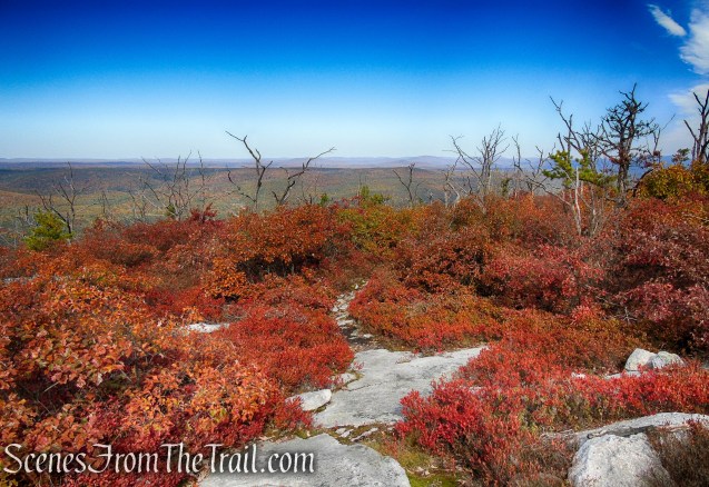 Long Path/Shawangunk Ridge Trail - Shawangunk Ridge State Forest