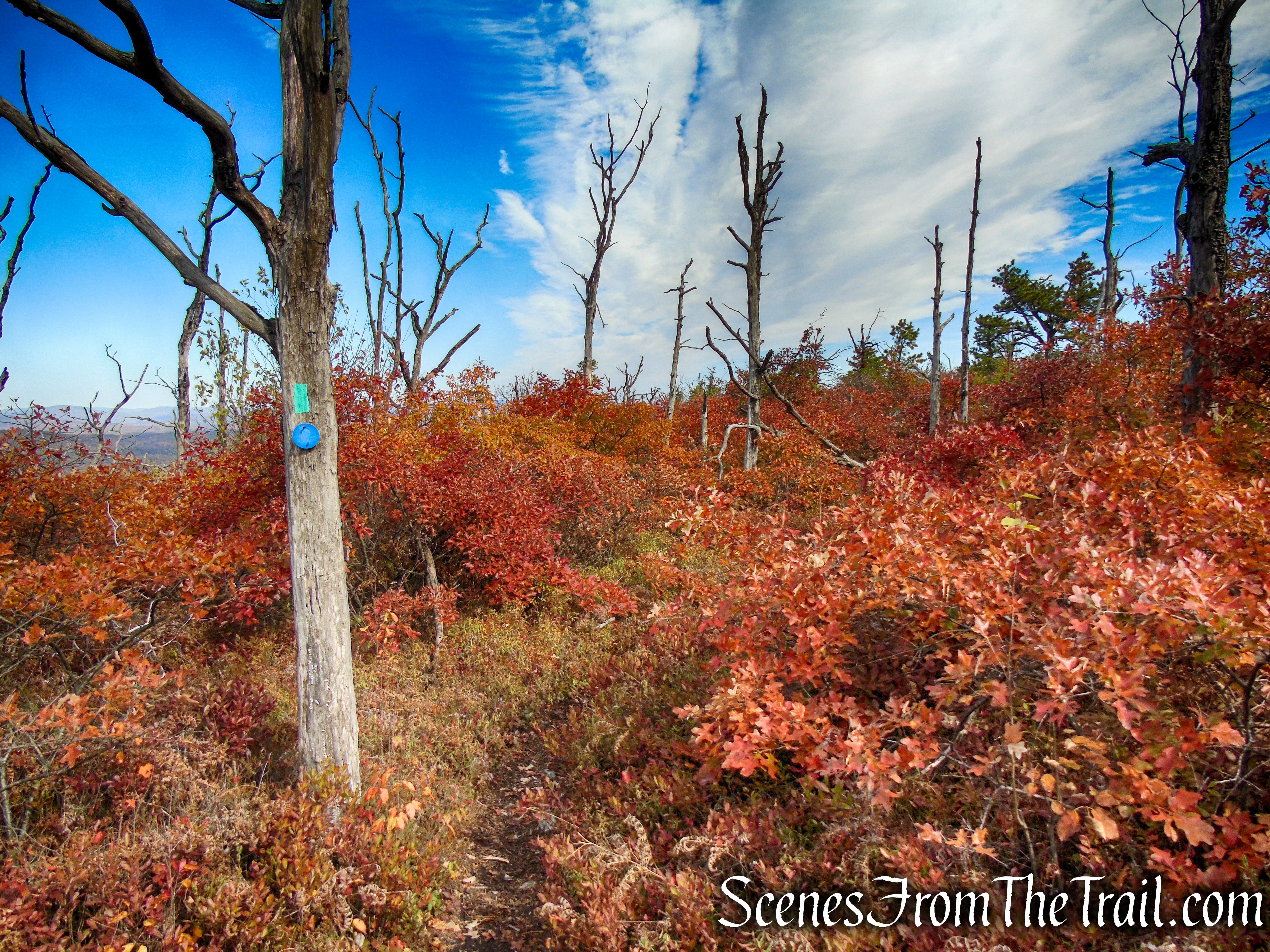 Long Path/Shawangunk Ridge Trail - Shawangunk Ridge State Forest