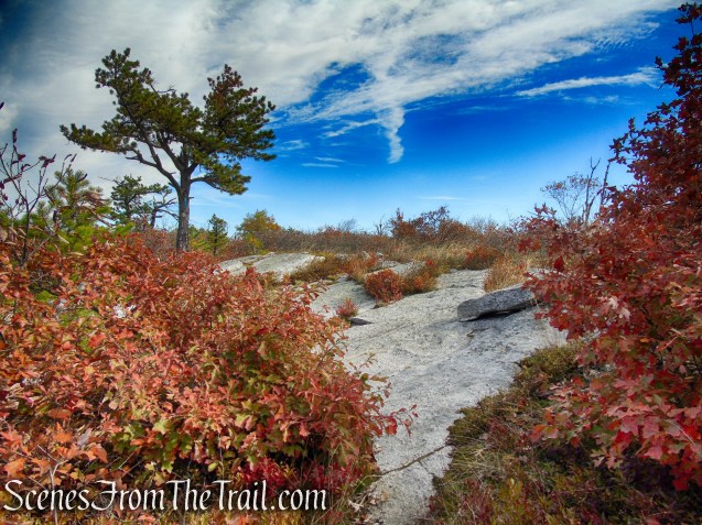 Long Path/Shawangunk Ridge Trail - Shawangunk Ridge State Forest