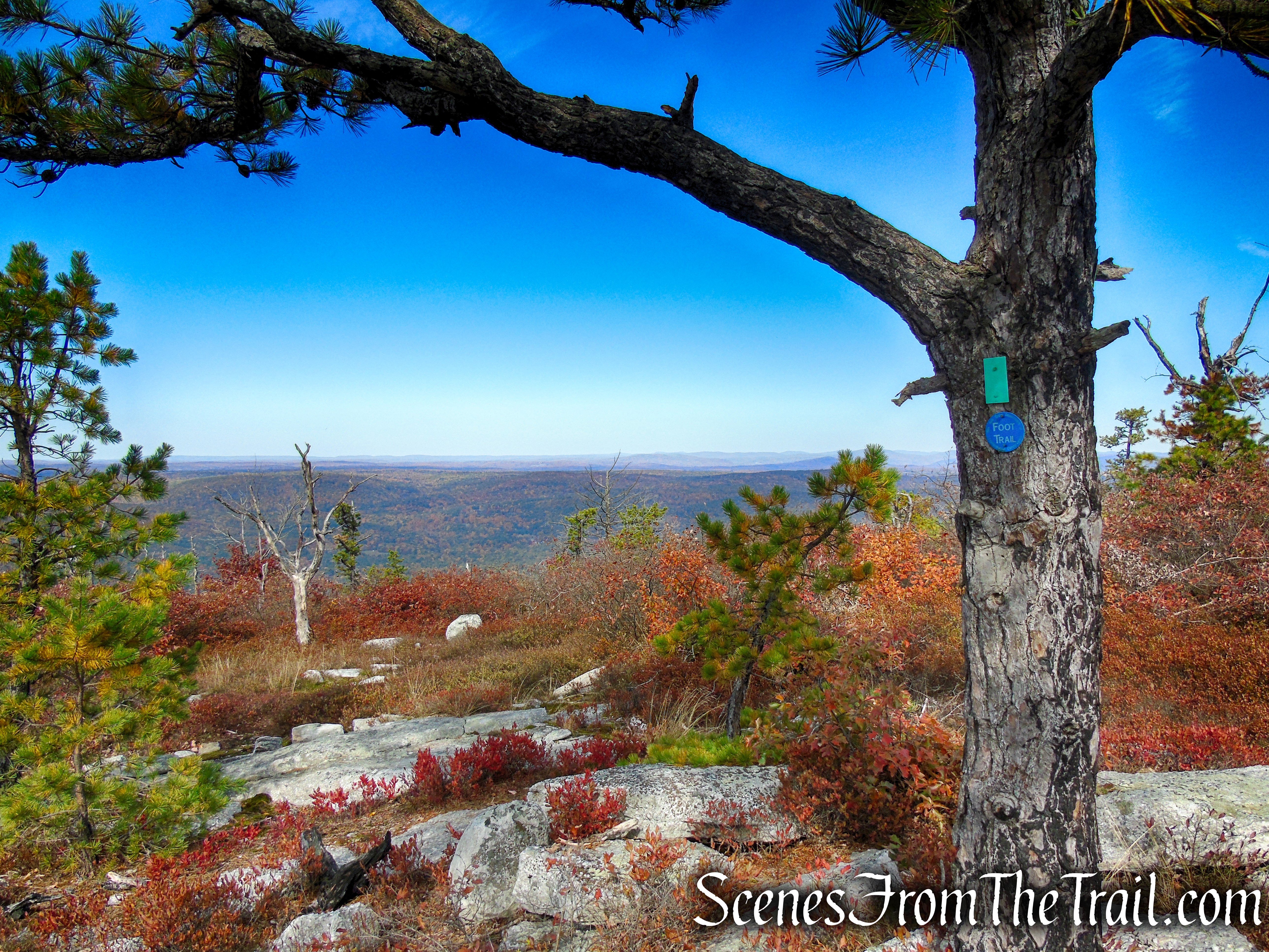 Long Path/Shawangunk Ridge Trail - Shawangunk Ridge State Forest