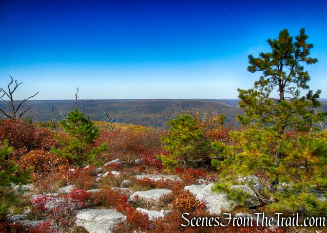 Long Path/Shawangunk Ridge Trail - Shawangunk Ridge State Forest