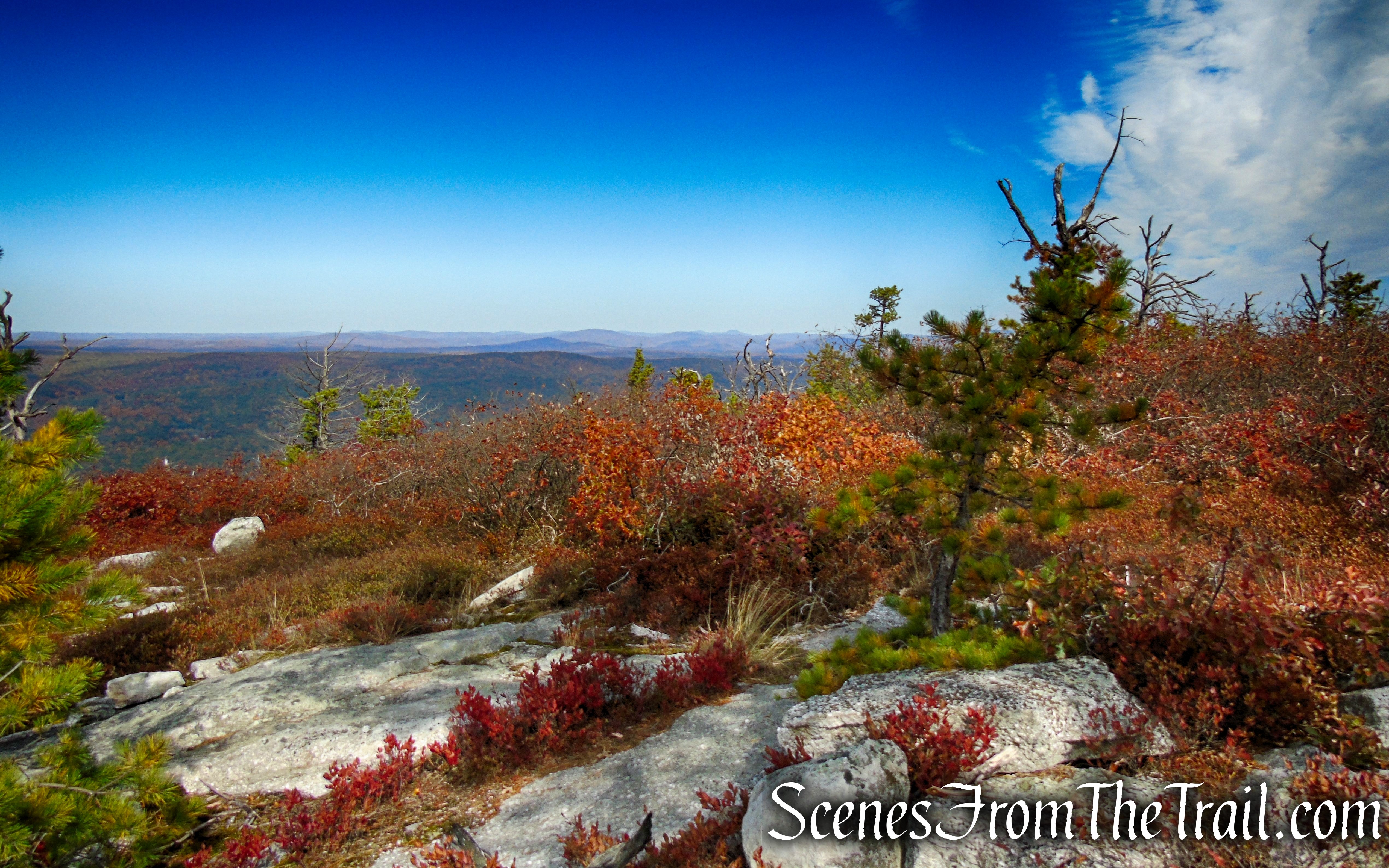 Long Path/Shawangunk Ridge Trail - Shawangunk Ridge State Forest