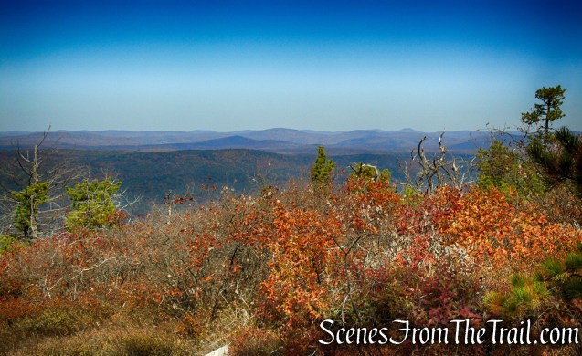Long Path/Shawangunk Ridge Trail - Shawangunk Ridge State Forest