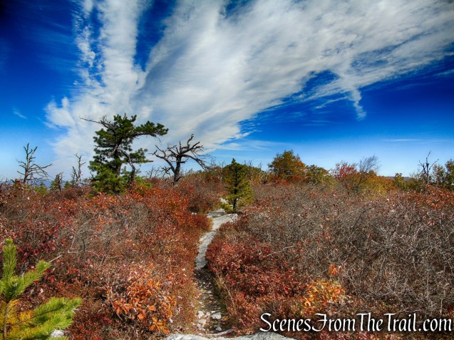 Long Path/Shawangunk Ridge Trail - Shawangunk Ridge State Forest