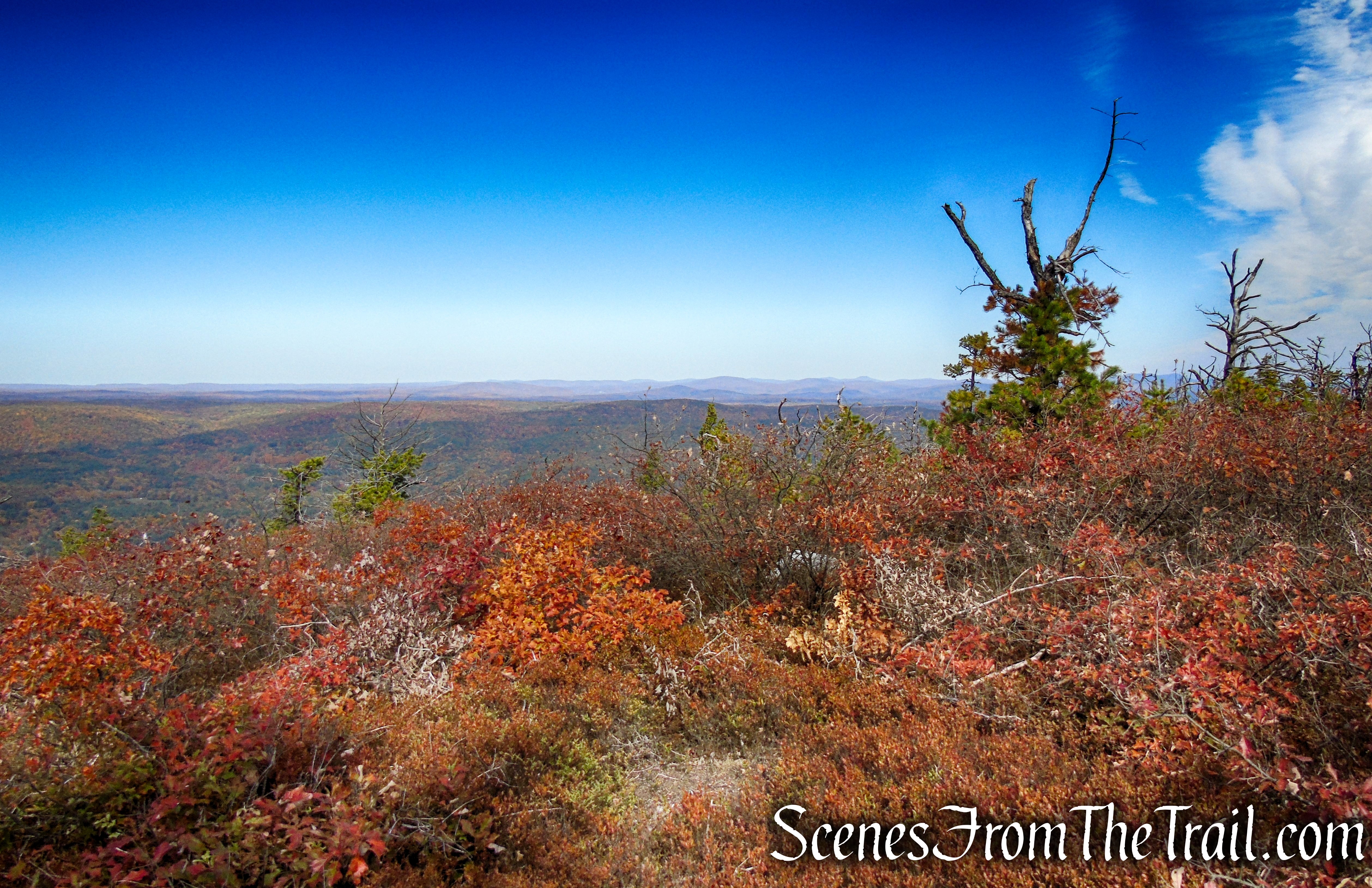 Long Path/Shawangunk Ridge Trail - Shawangunk Ridge State Forest