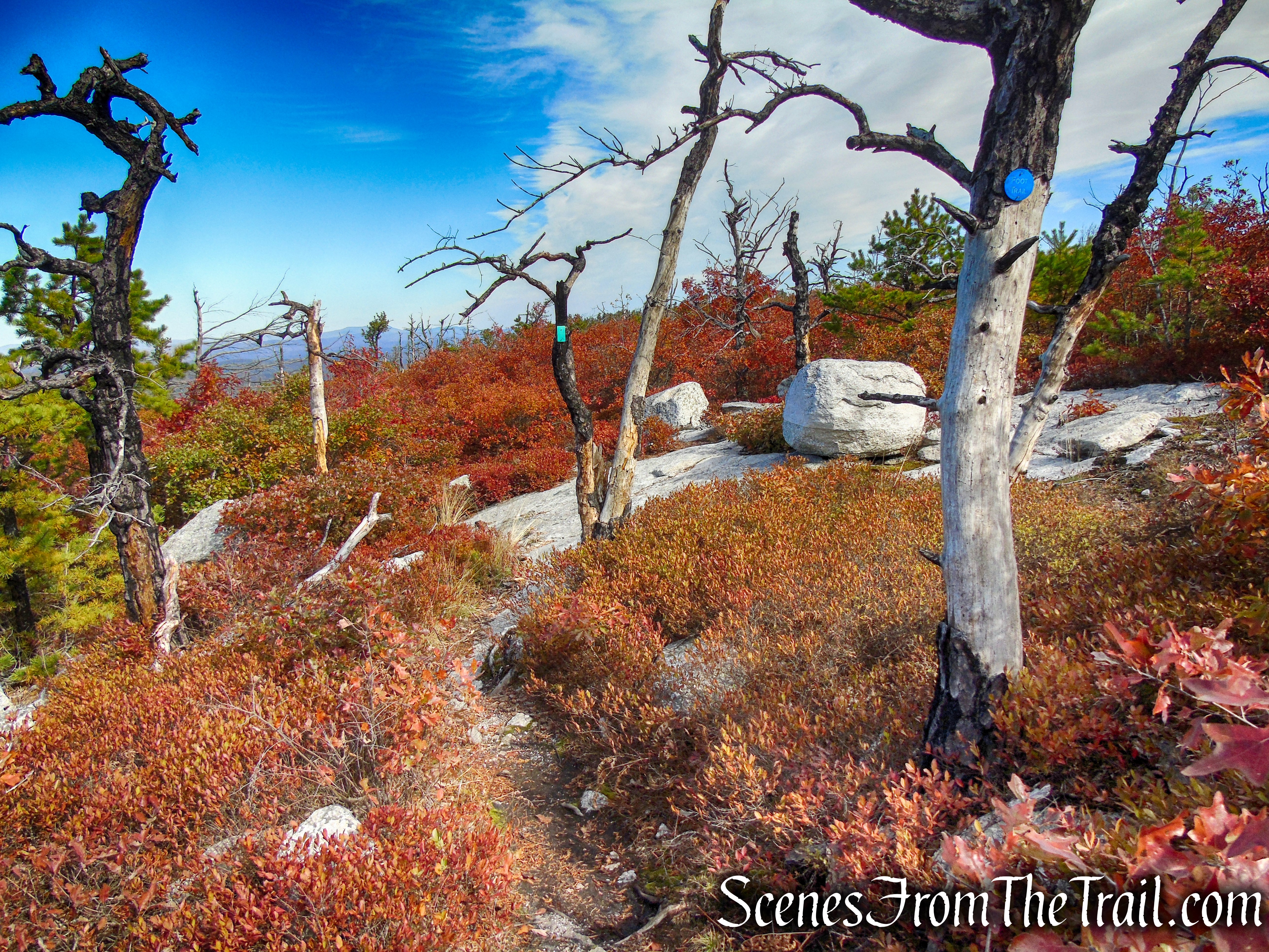 Long Path/Shawangunk Ridge Trail - Shawangunk Ridge State Forest