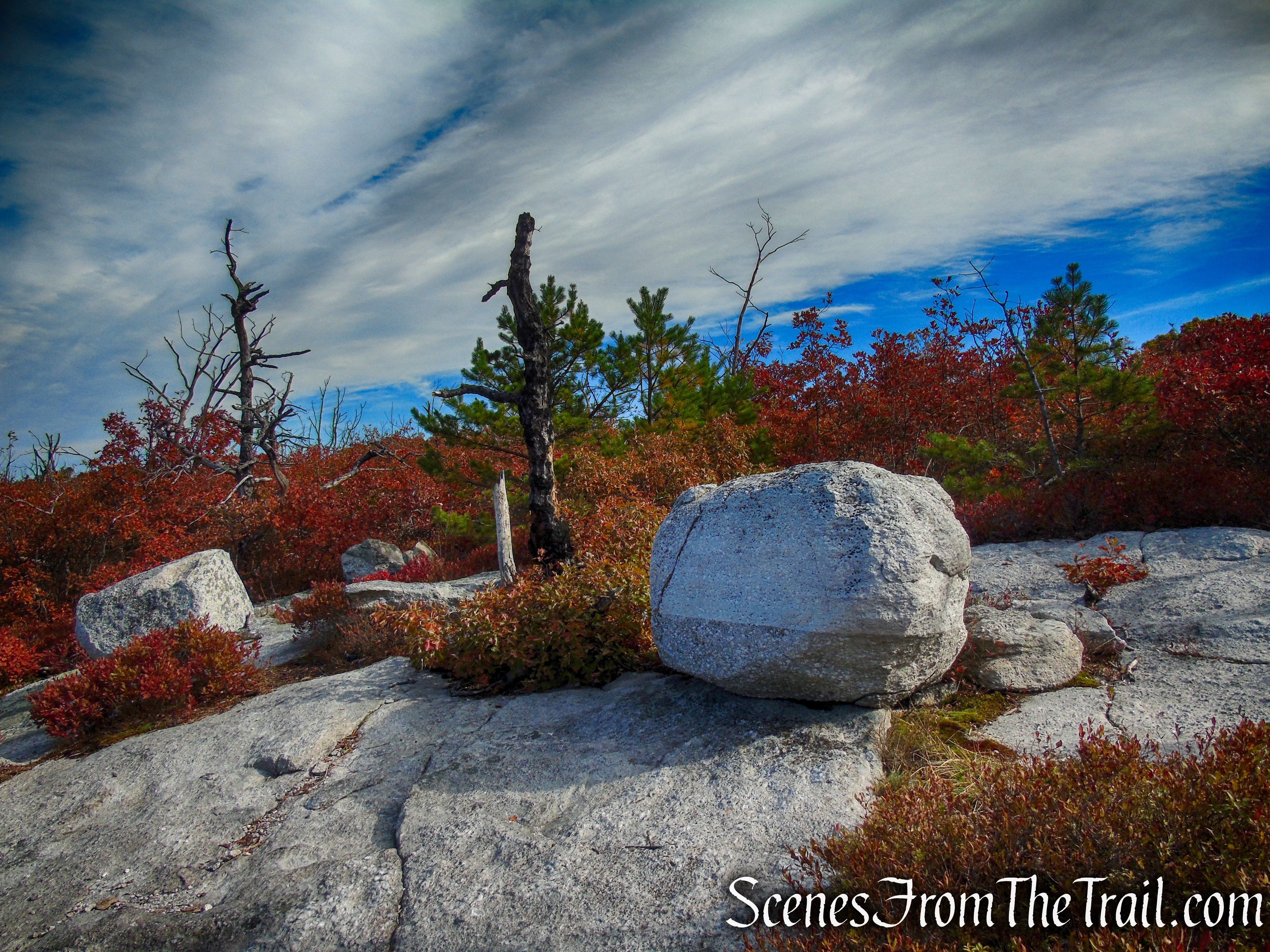 Long Path/Shawangunk Ridge Trail - Shawangunk Ridge State Forest