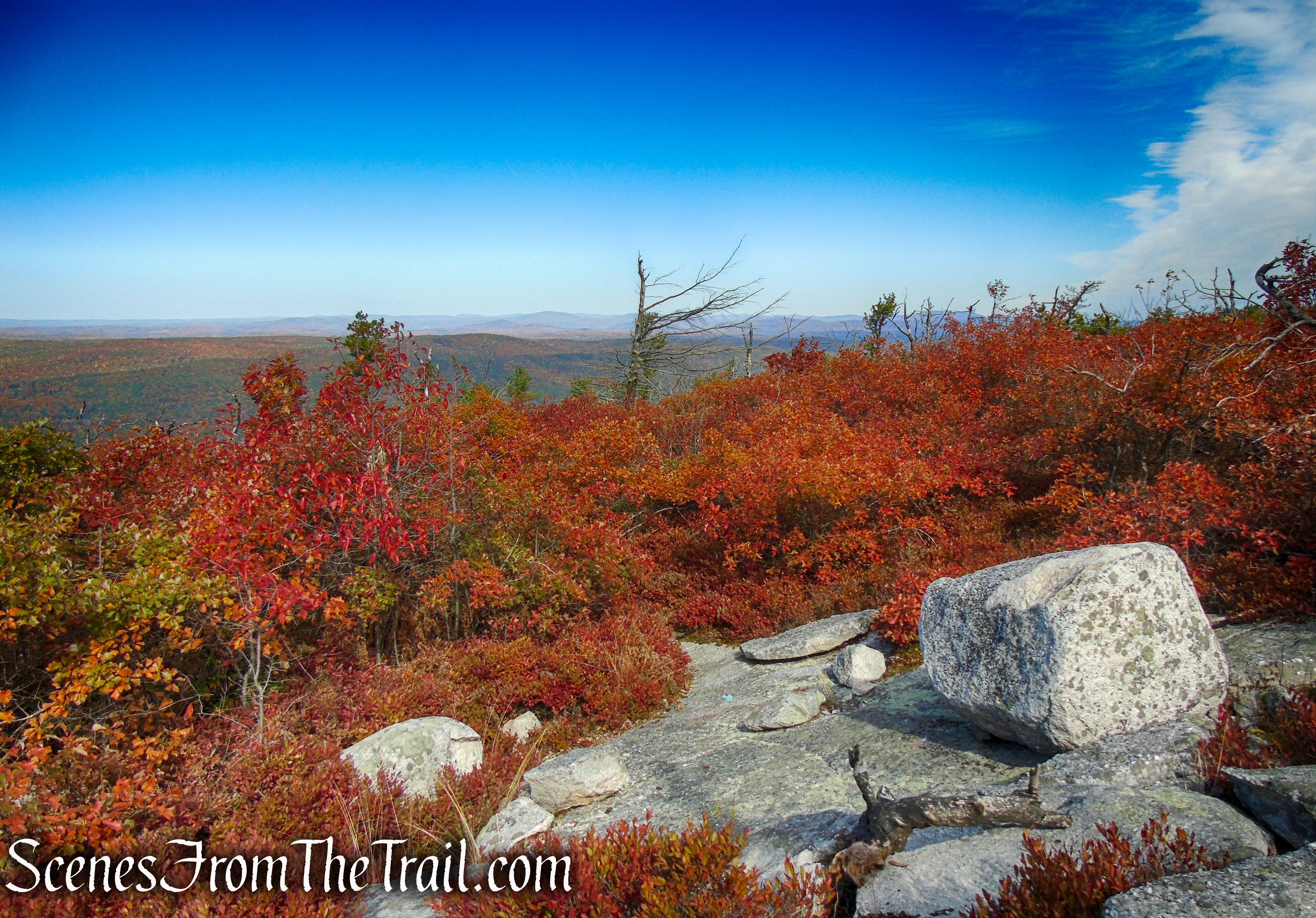 Long Path/Shawangunk Ridge Trail - Shawangunk Ridge State Forest