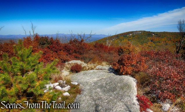 Long Path/Shawangunk Ridge Trail - Shawangunk Ridge State Forest