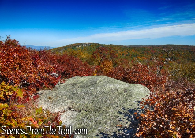 Long Path/Shawangunk Ridge Trail - Shawangunk Ridge State Forest