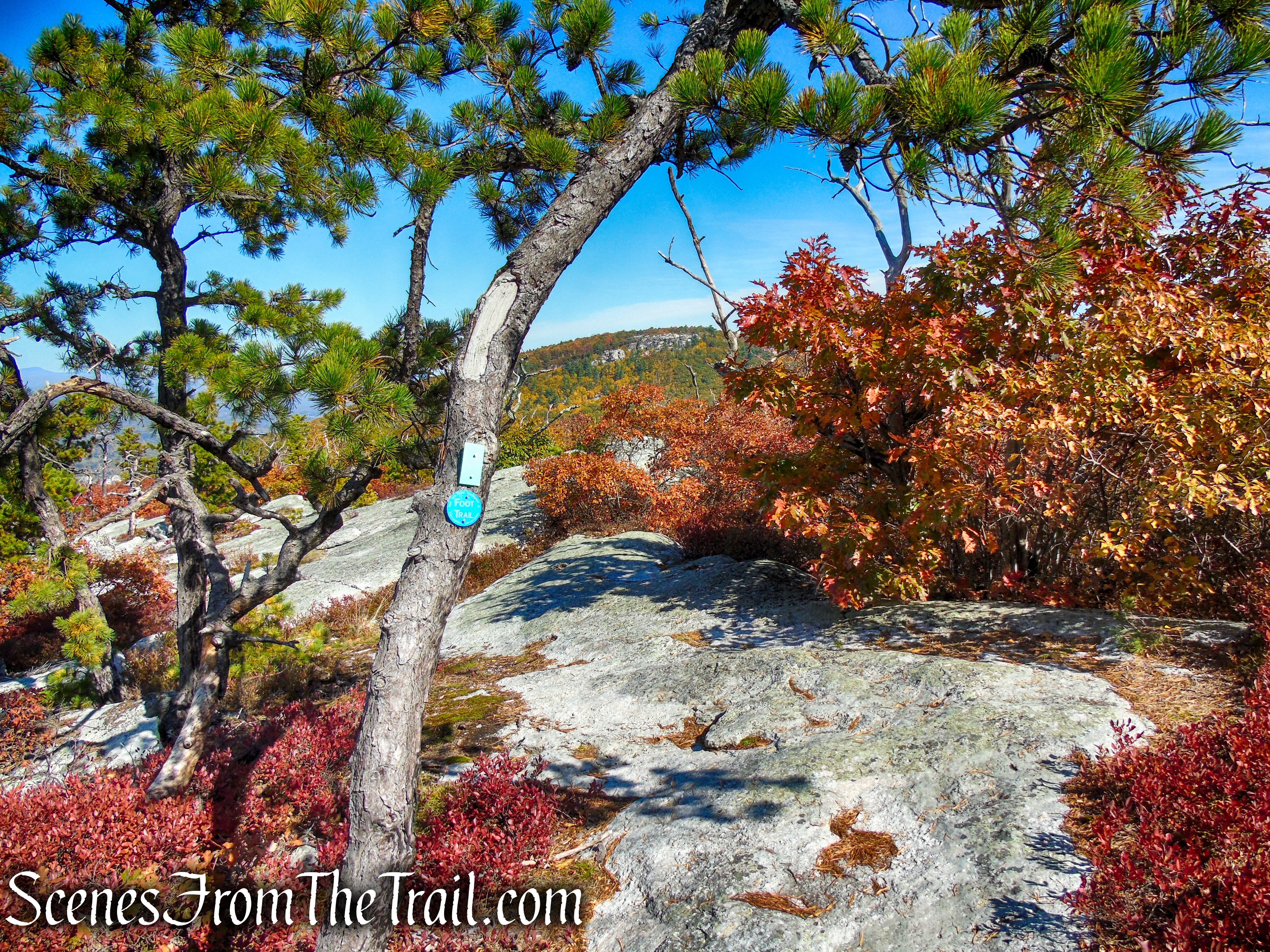 Long Path/Shawangunk Ridge Trail - Shawangunk Ridge State Forest