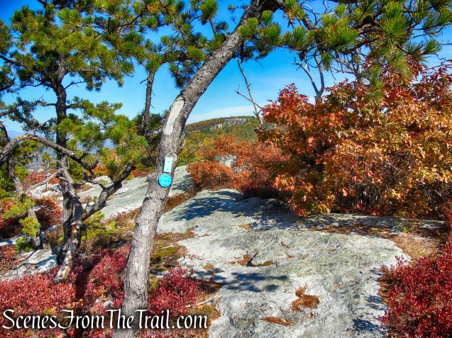 Long Path/Shawangunk Ridge Trail - Shawangunk Ridge State Forest