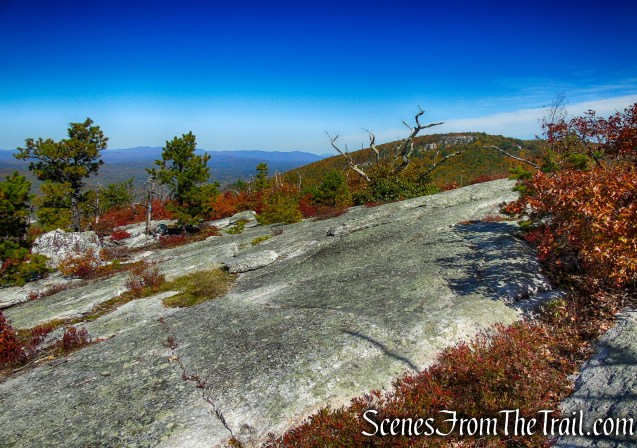 Long Path/Shawangunk Ridge Trail - Shawangunk Ridge State Forest