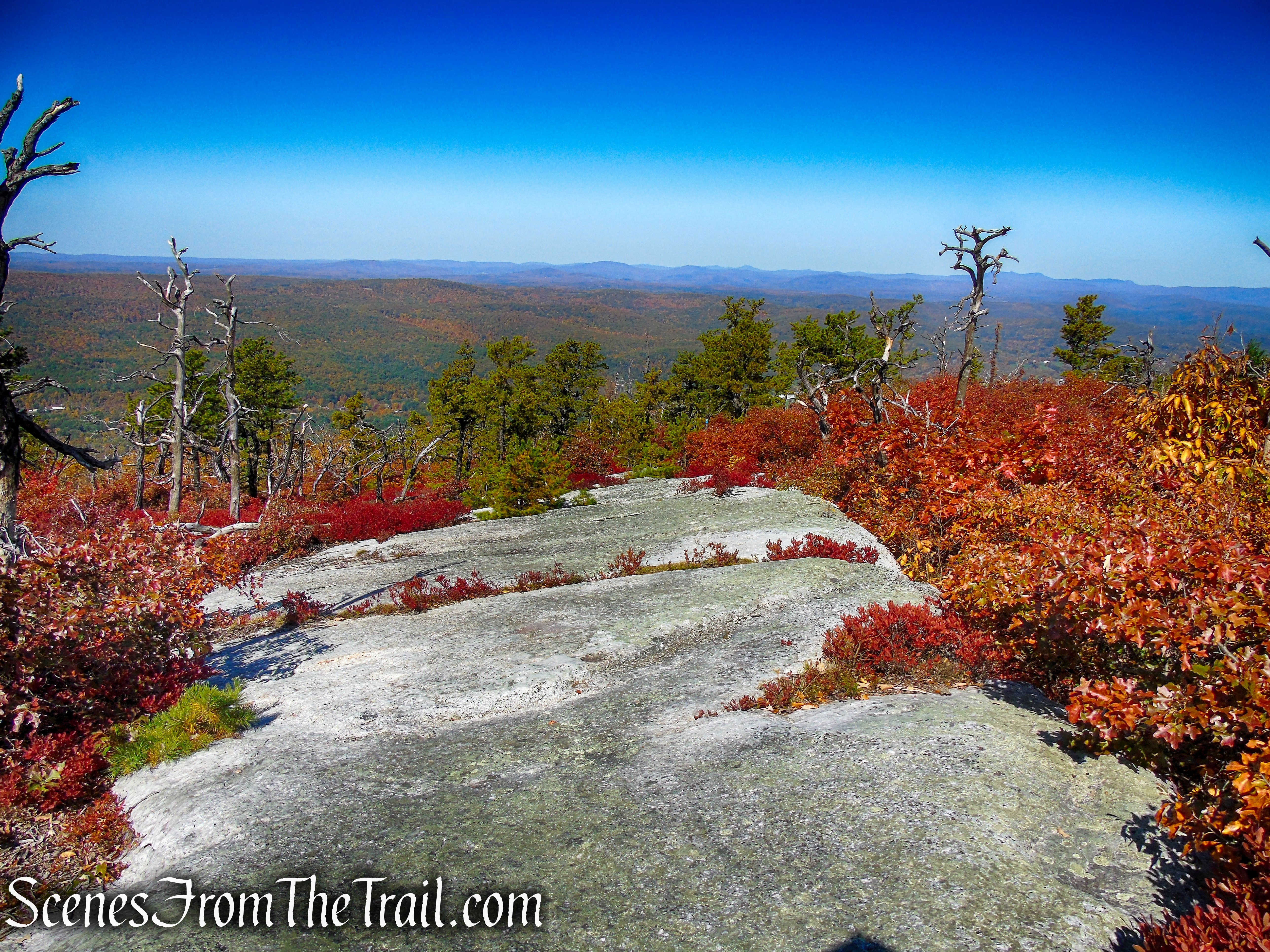 Long Path/Shawangunk Ridge Trail - Shawangunk Ridge State Forest