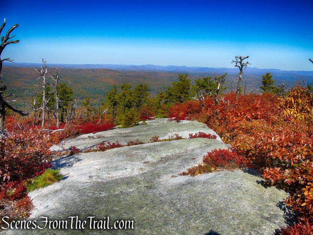 Long Path/Shawangunk Ridge Trail - Shawangunk Ridge State Forest