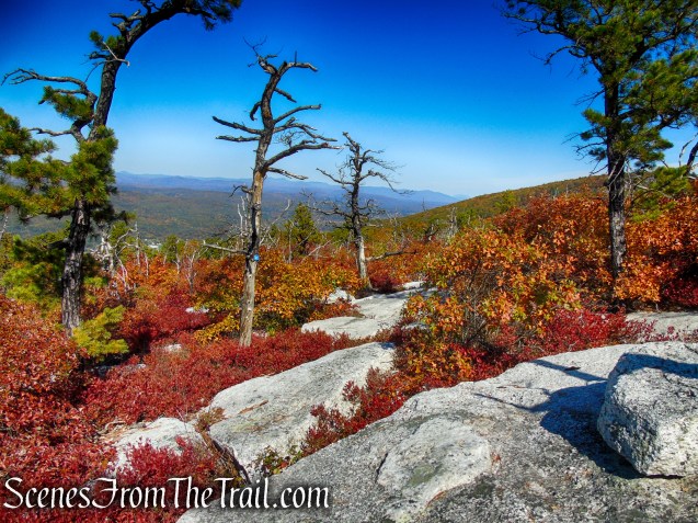 Long Path/Shawangunk Ridge Trail - Shawangunk Ridge State Forest