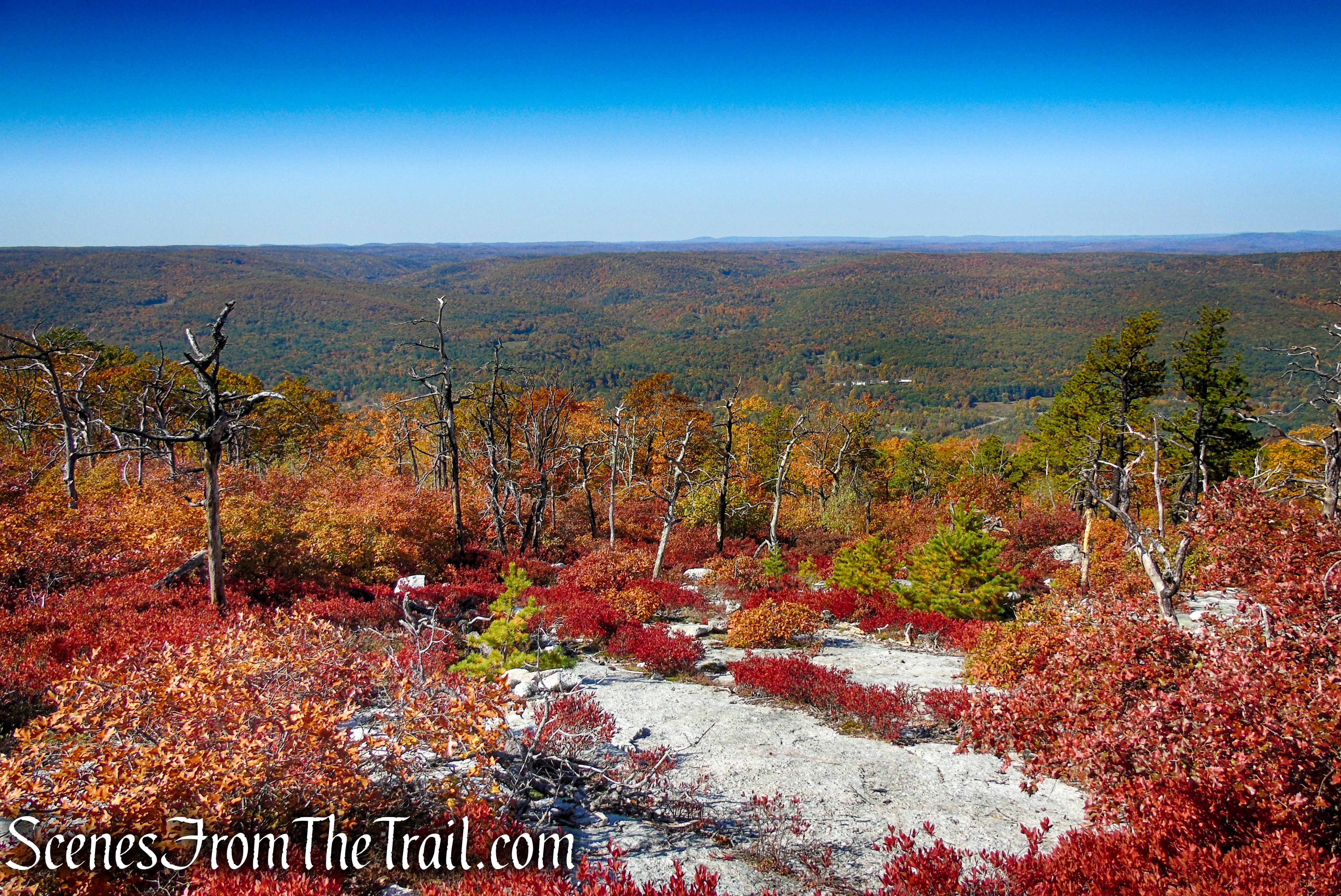 Long Path/Shawangunk Ridge Trail - Shawangunk Ridge State Forest