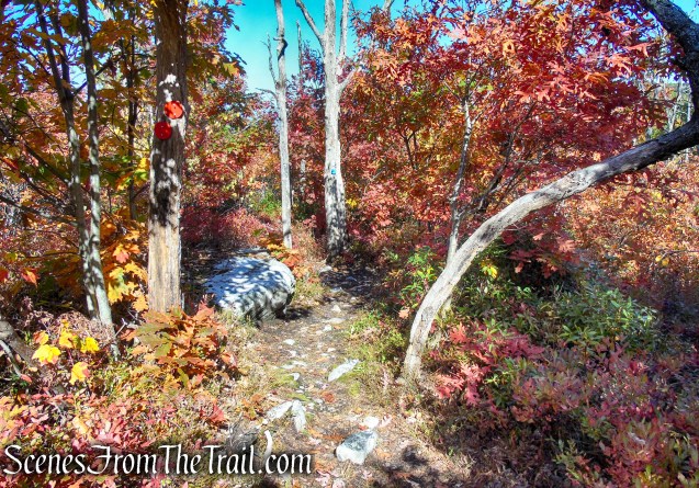 Turn right on Red Trail