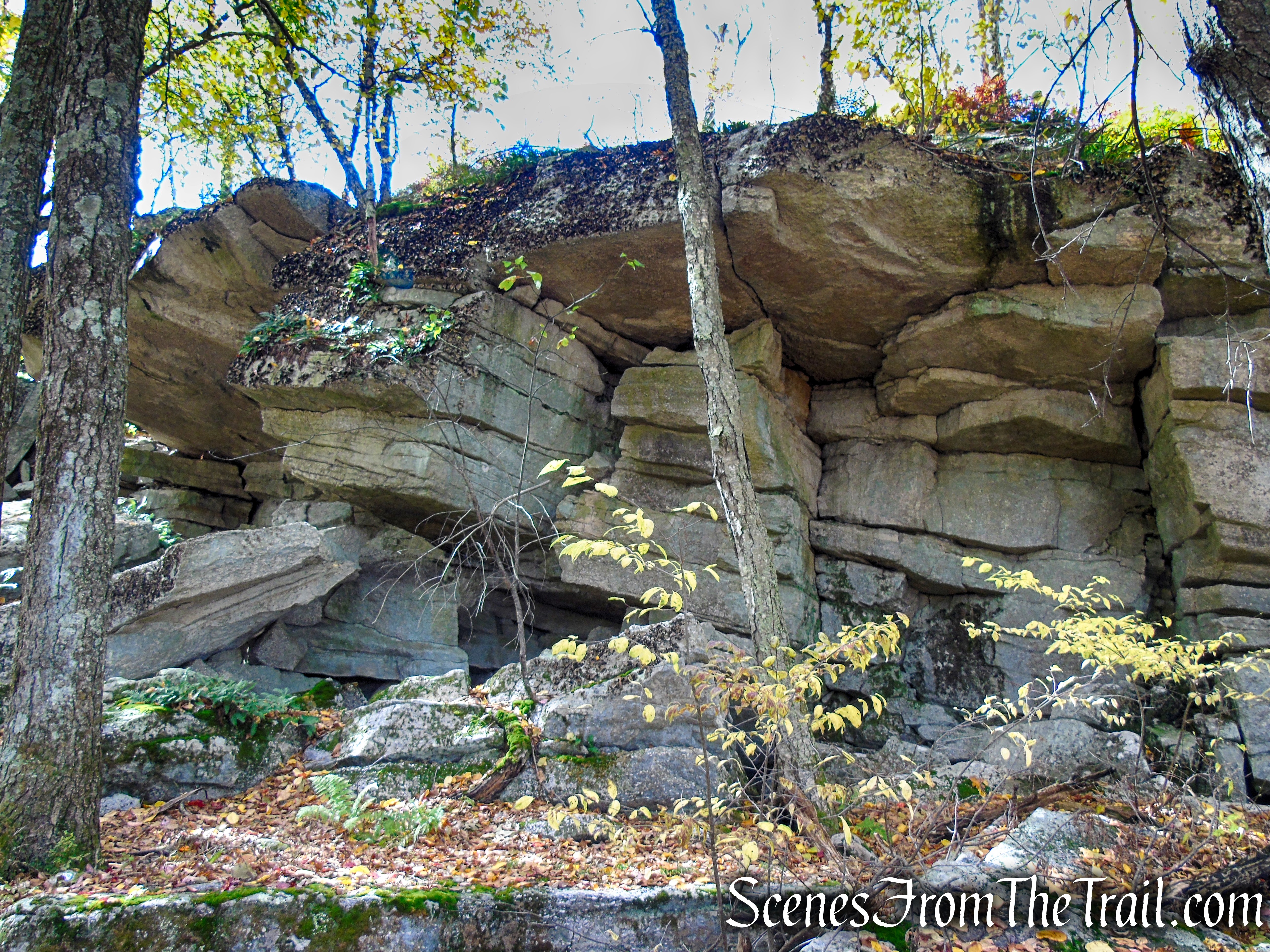 Red Trail - Shawangunk Ridge State Forest