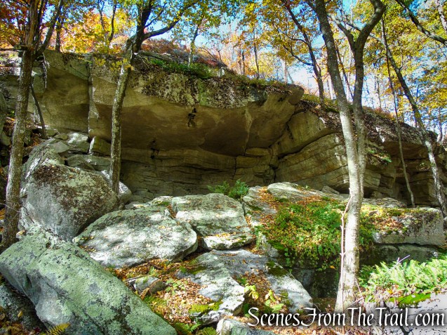 Red Trail - Shawangunk Ridge State Forest