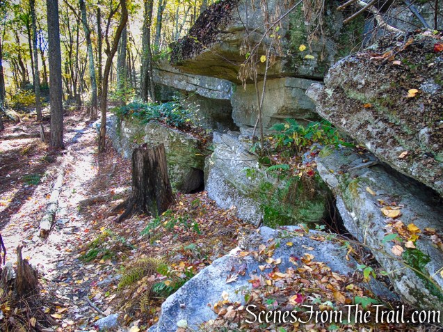Red Trail - Shawangunk Ridge State Forest
