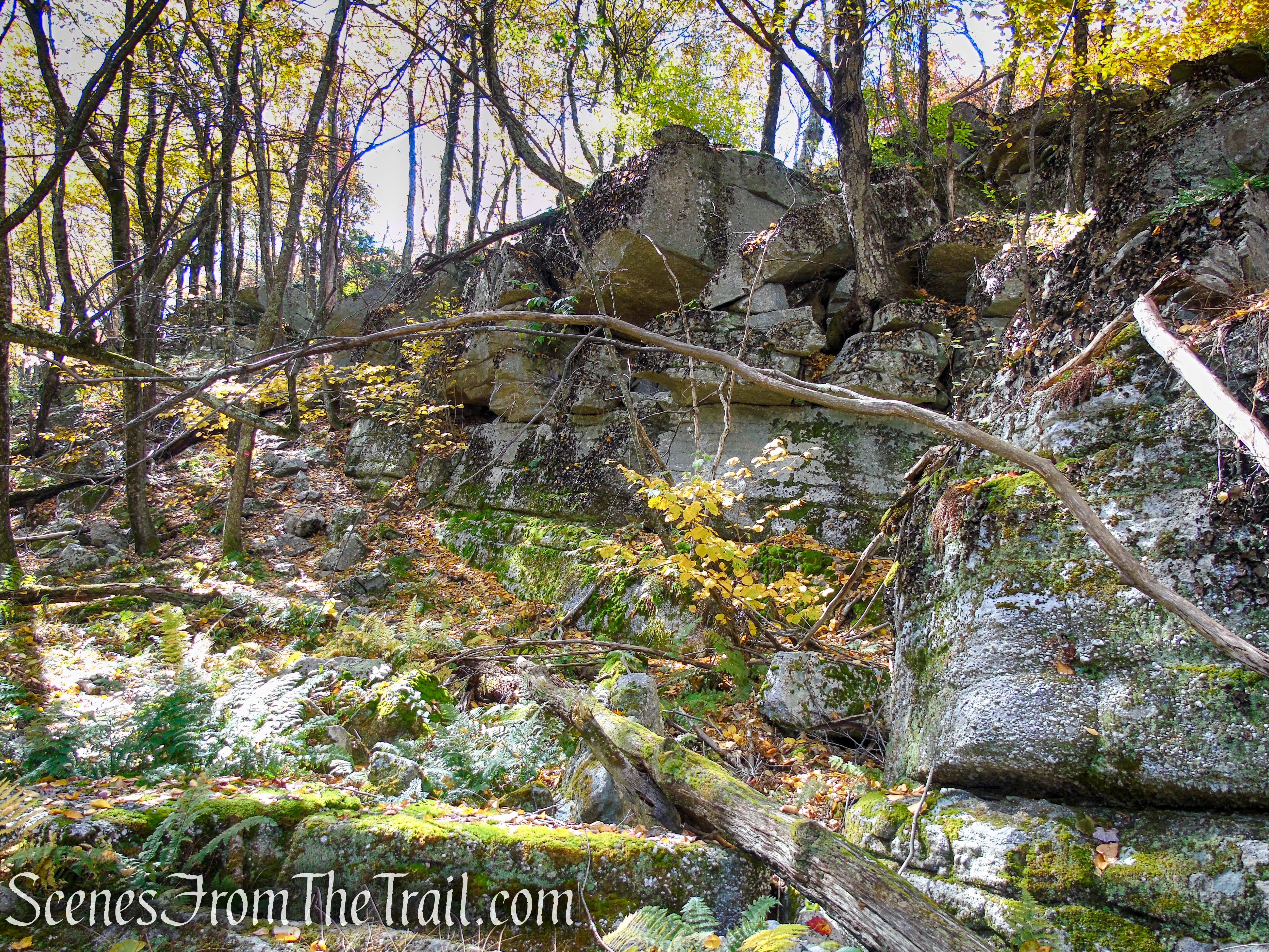 Red Trail - Shawangunk Ridge State Forest