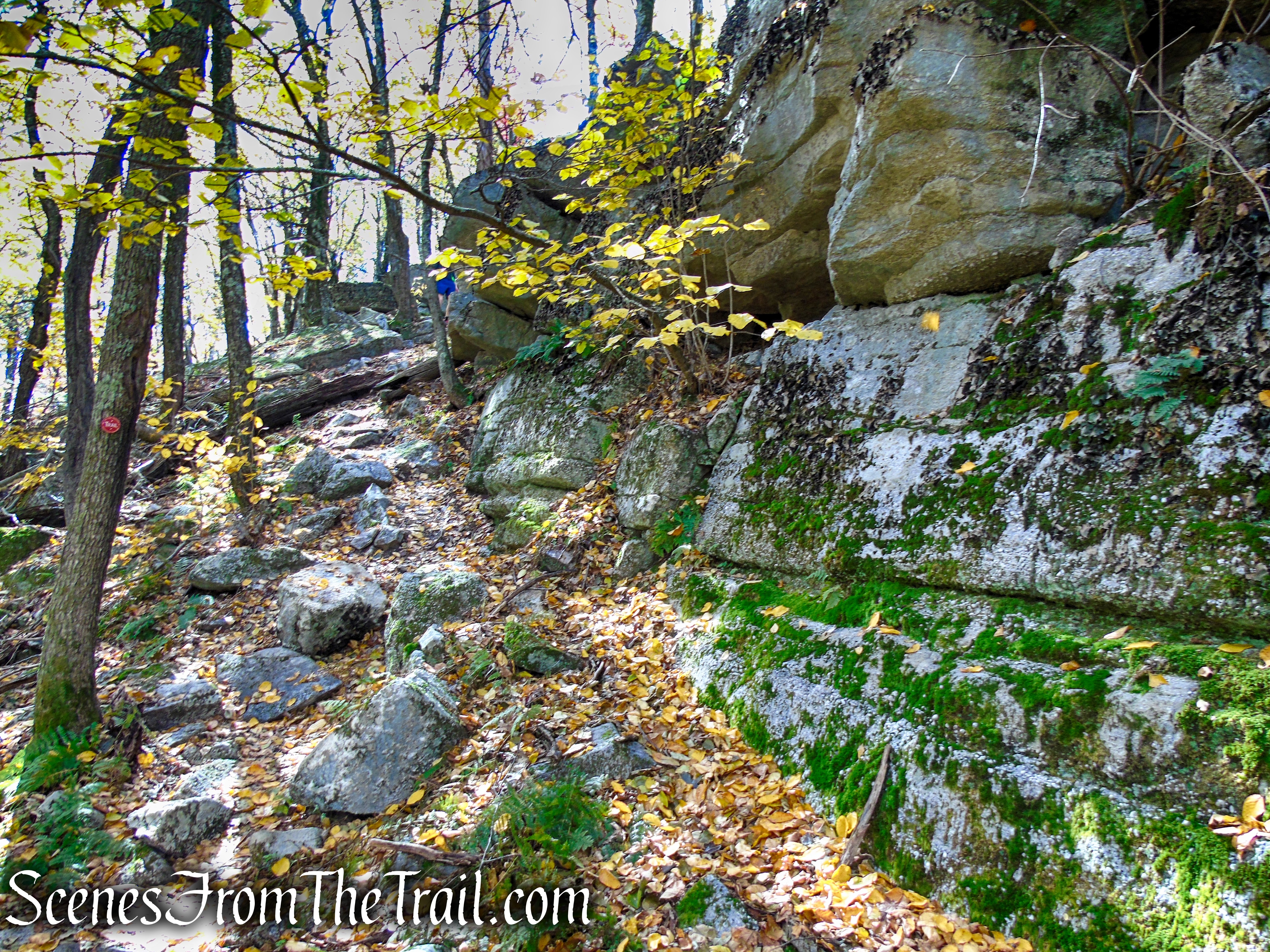 Red Trail - Shawangunk Ridge State Forest