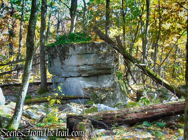 Red Trail - Shawangunk Ridge State Forest