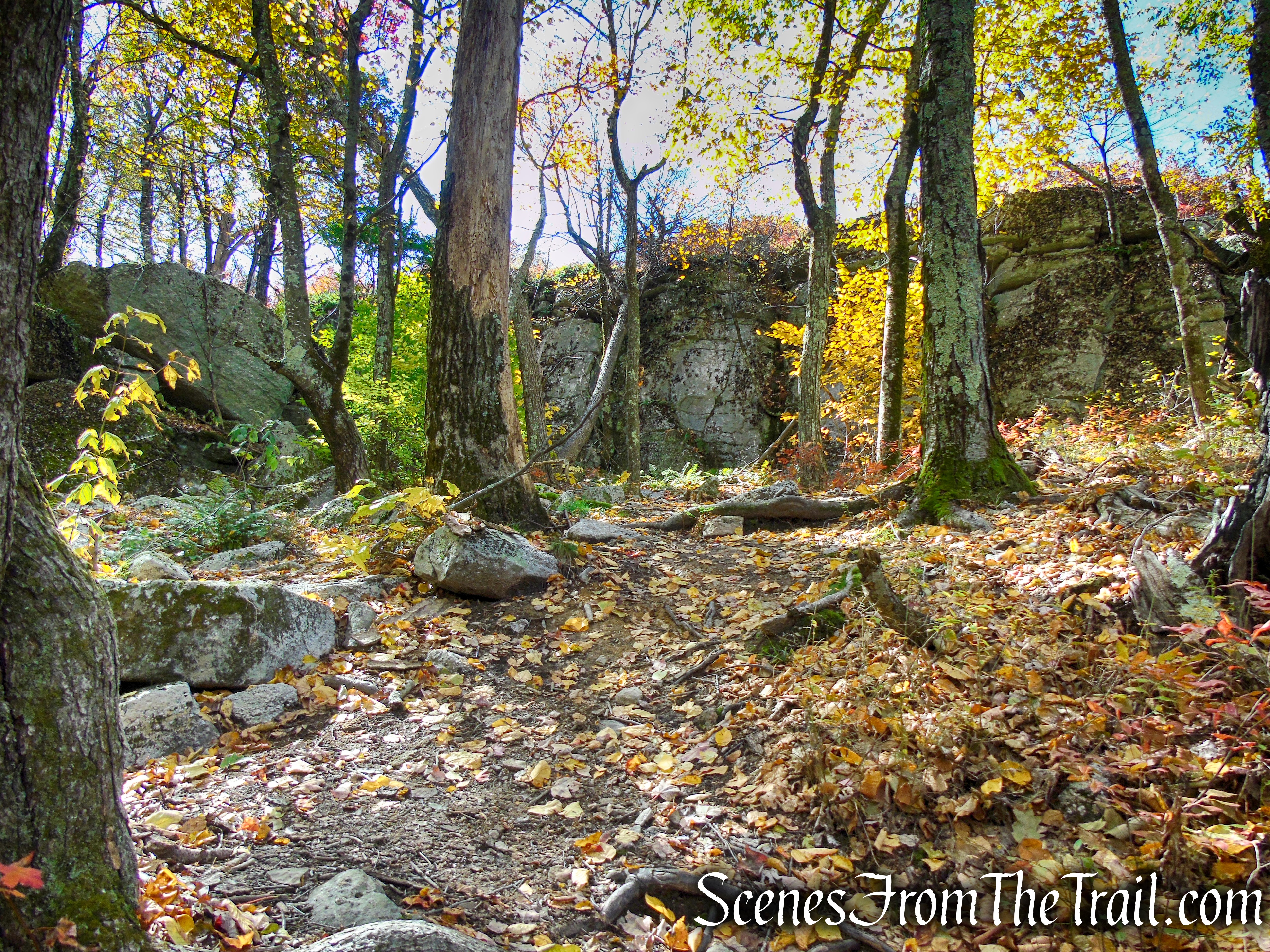 Red Trail - Shawangunk Ridge State Forest