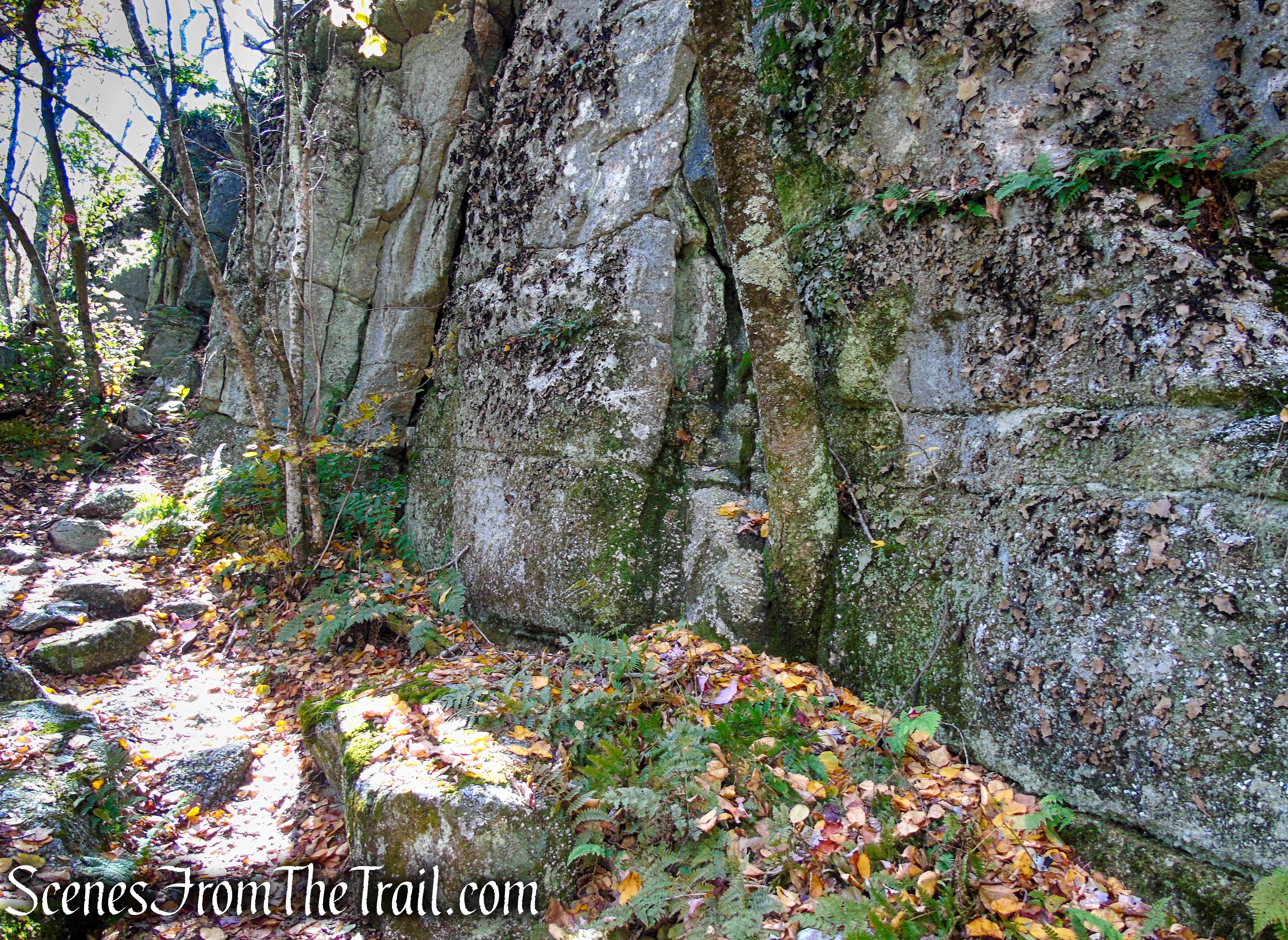 Red Trail - Shawangunk Ridge State Forest