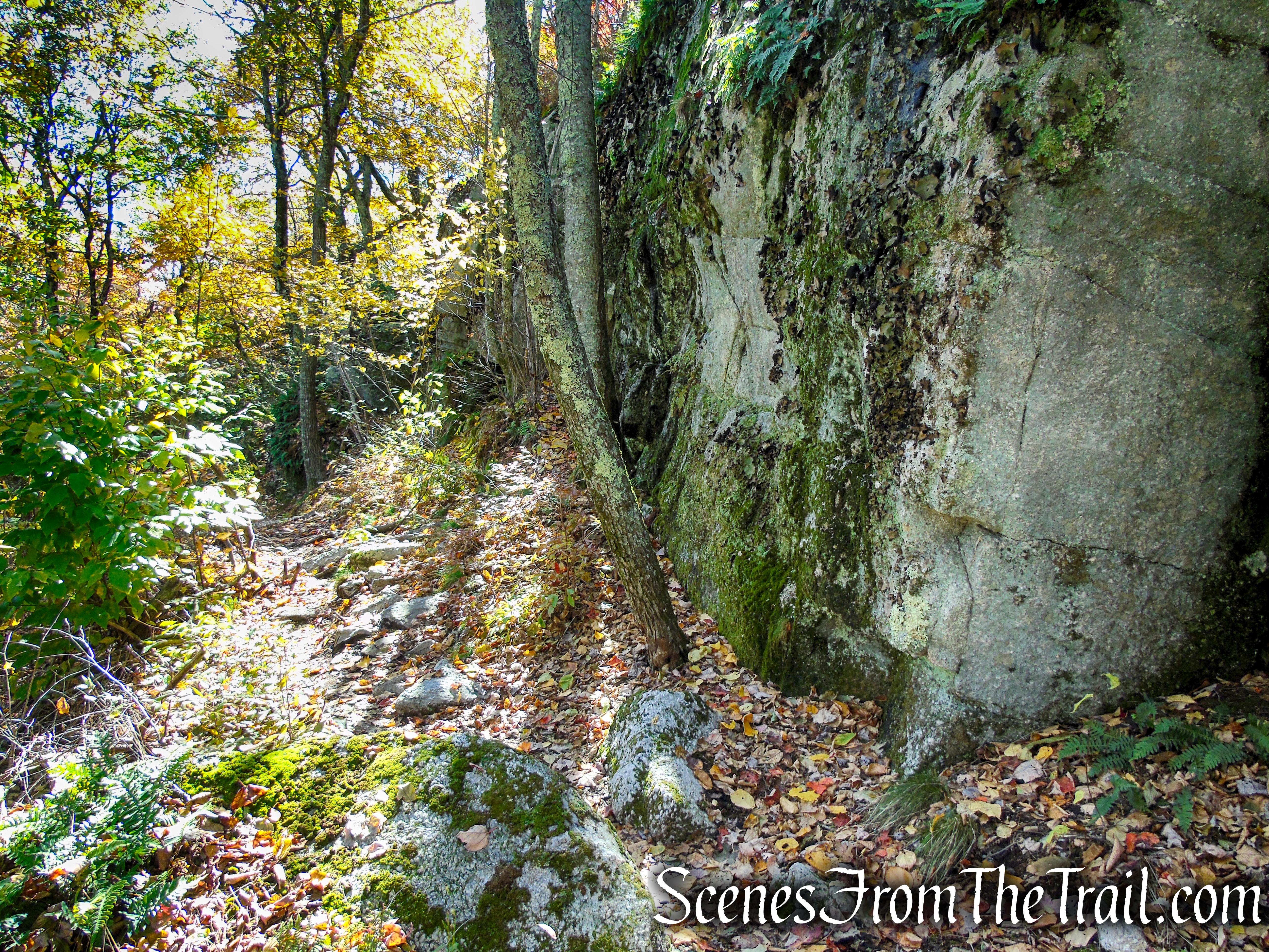 Red Trail - Shawangunk Ridge State Forest