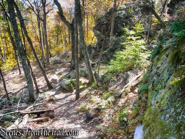 Red Trail - Shawangunk Ridge State Forest