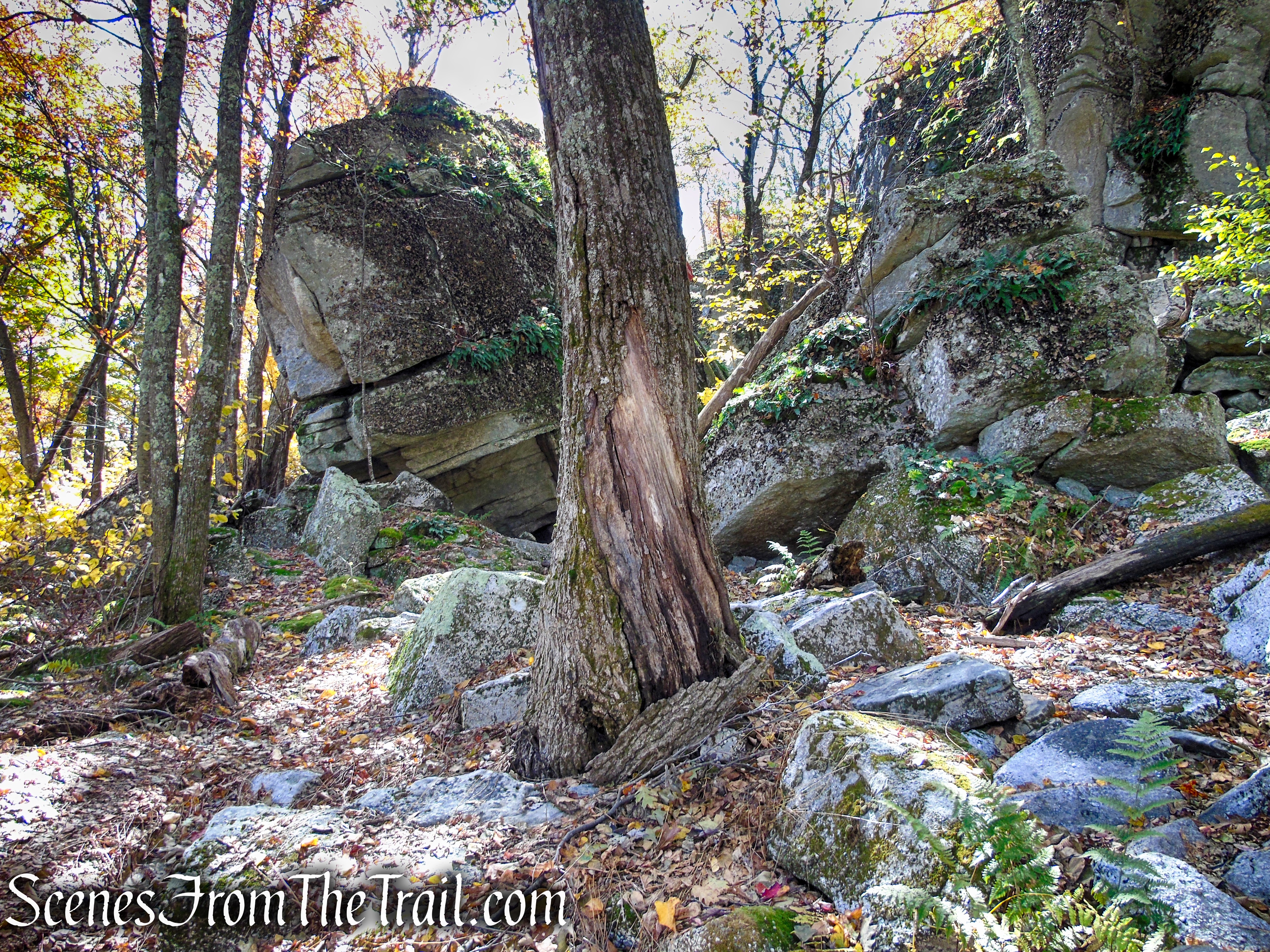 Red Trail - Shawangunk Ridge State Forest