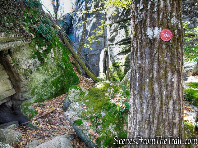 Red Trail - Shawangunk Ridge State Forest