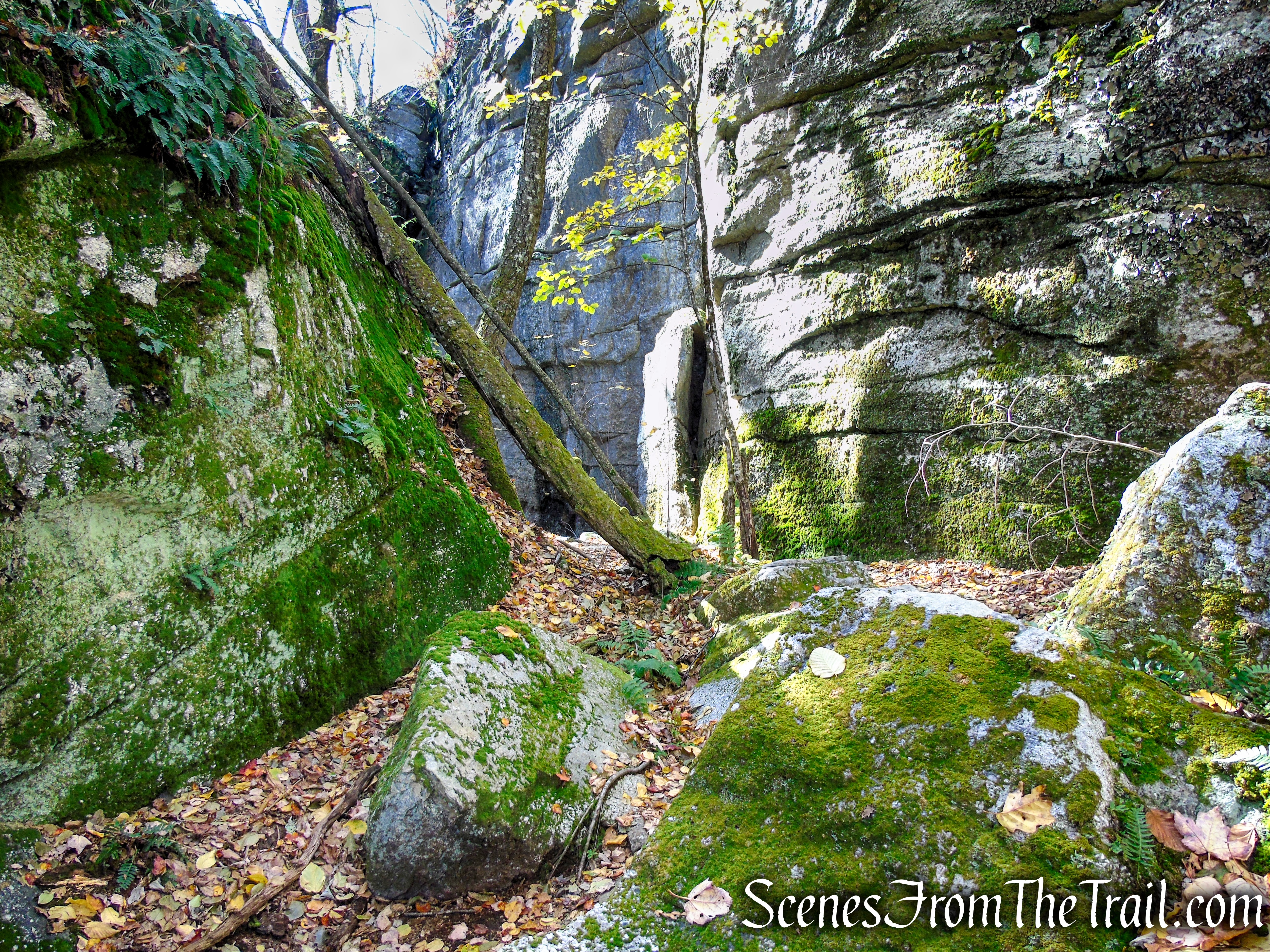 Red Trail - Shawangunk Ridge State Forest