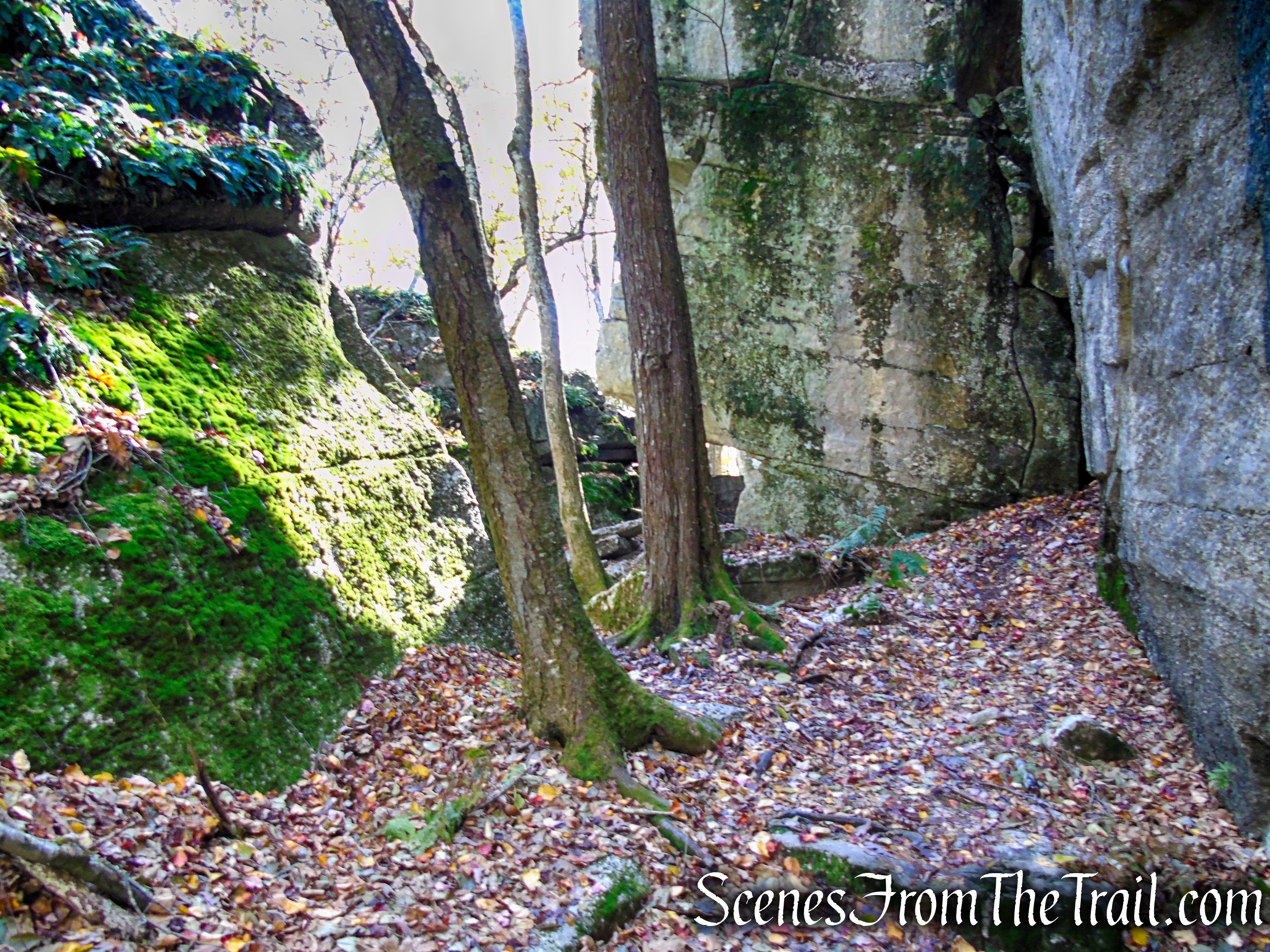 Red Trail - Shawangunk Ridge State Forest