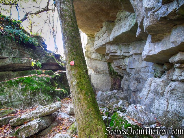 Red Trail - Shawangunk Ridge State Forest