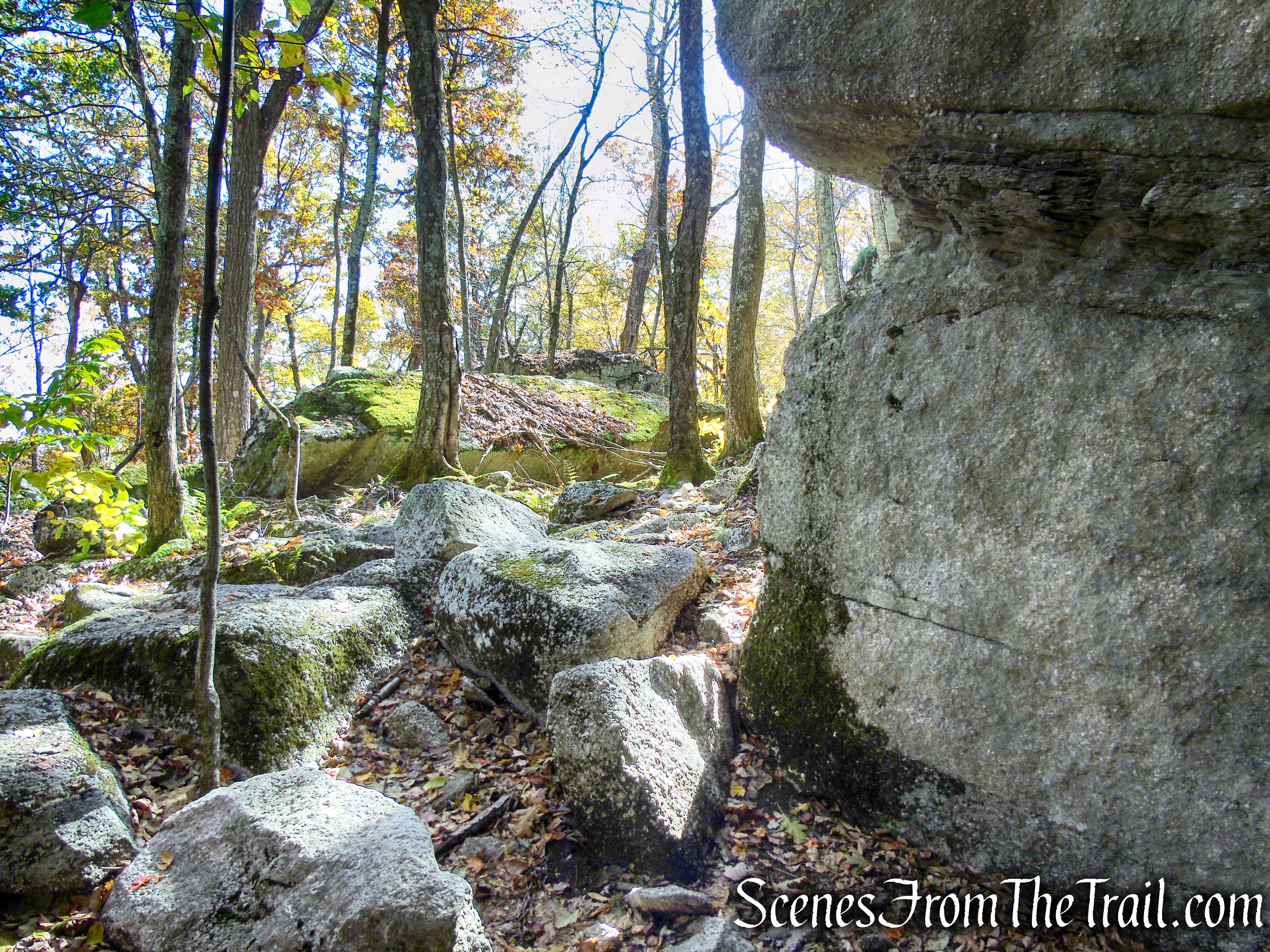 Red Trail - Shawangunk Ridge State Forest
