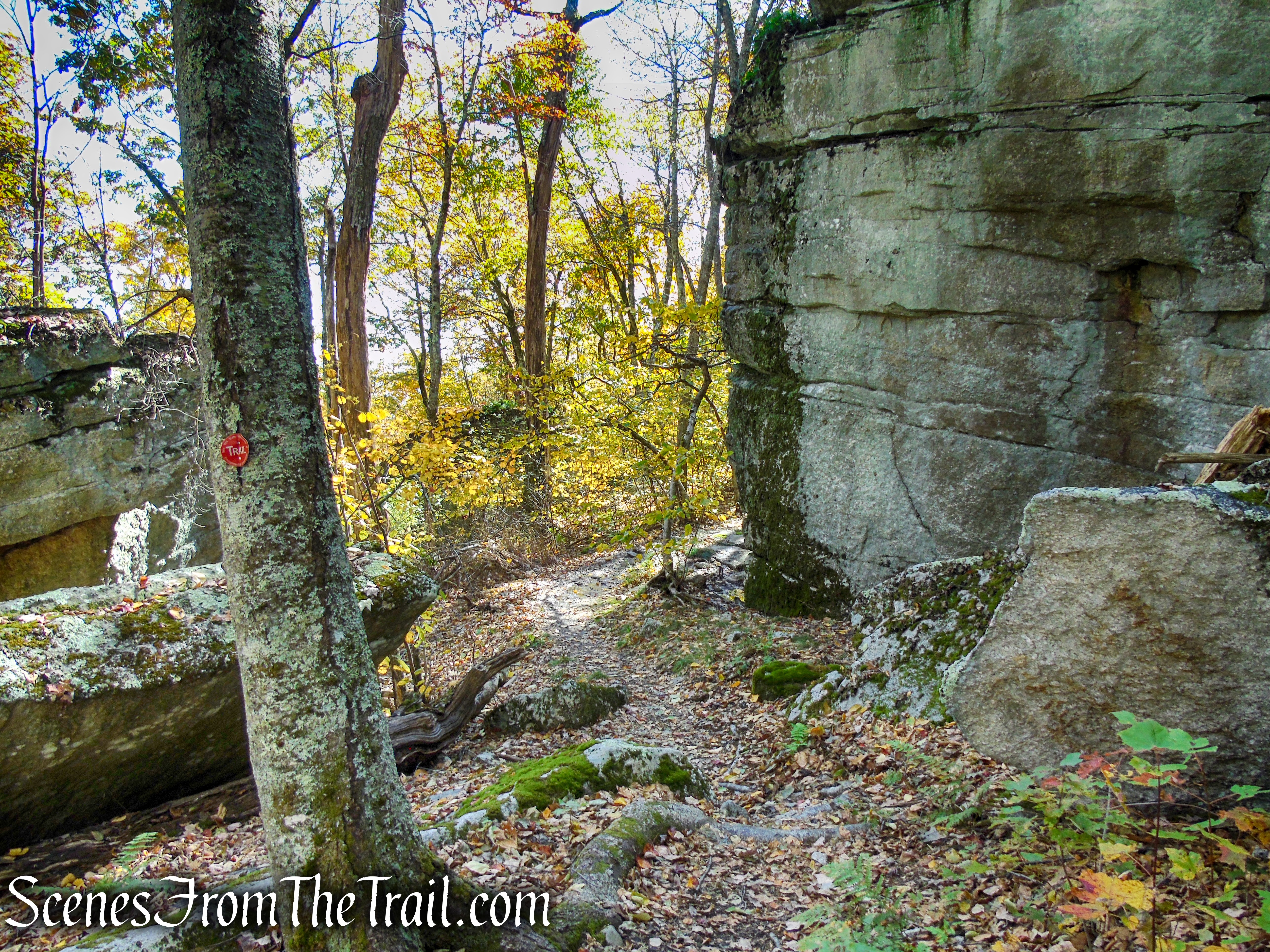 Red Trail - Shawangunk Ridge State Forest