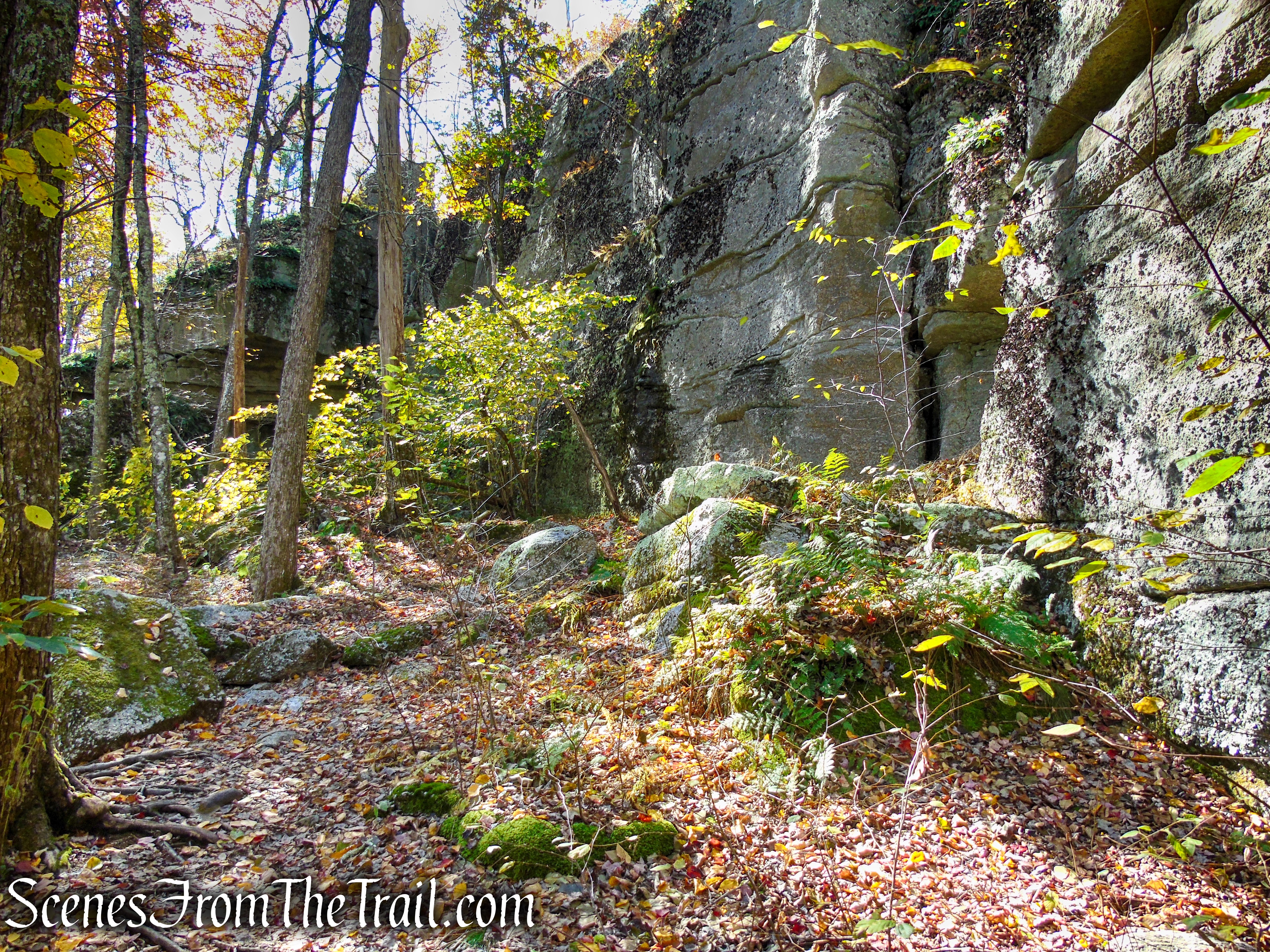 Red Trail - Shawangunk Ridge State Forest