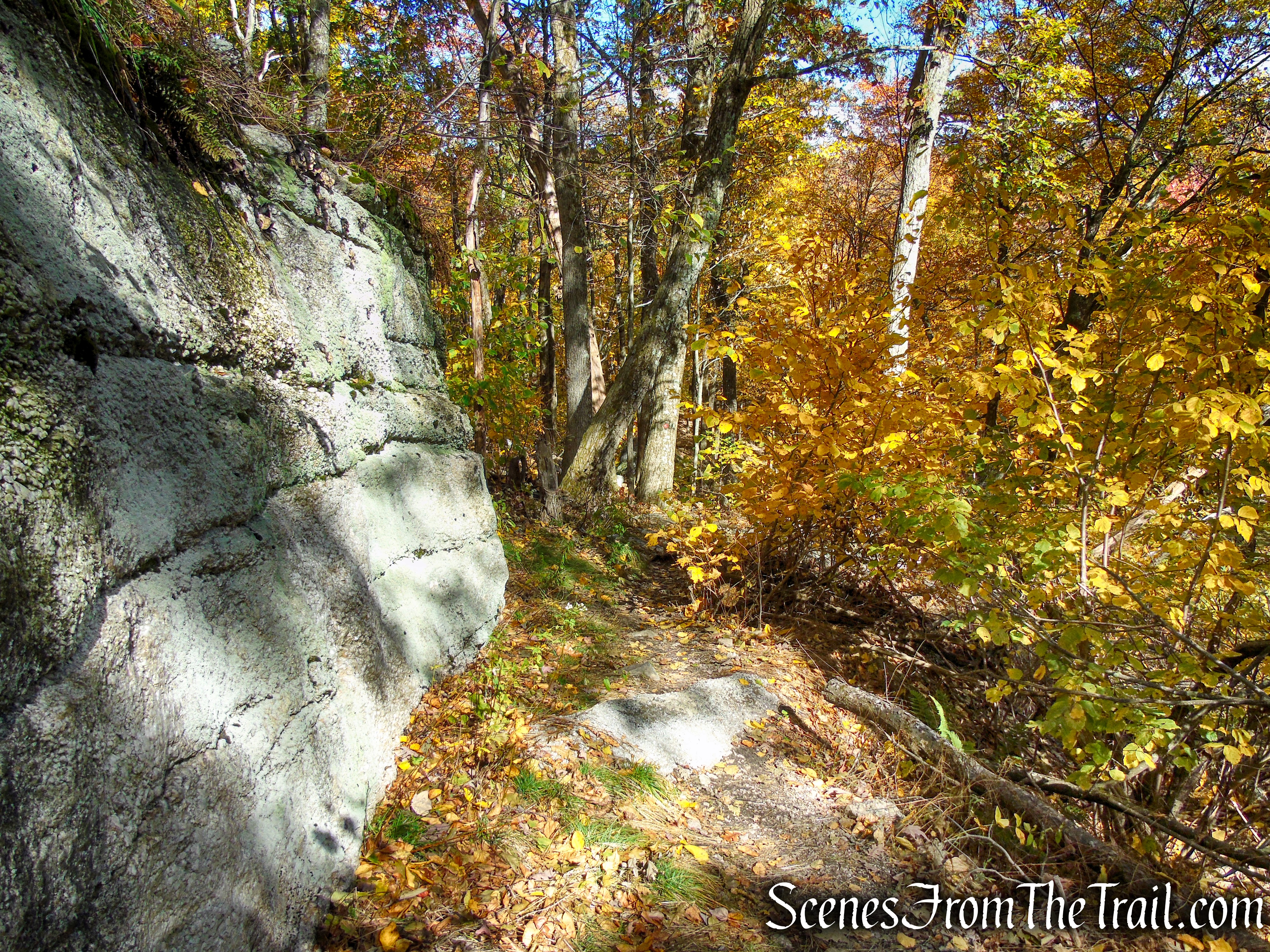 Red Trail - Shawangunk Ridge State Forest