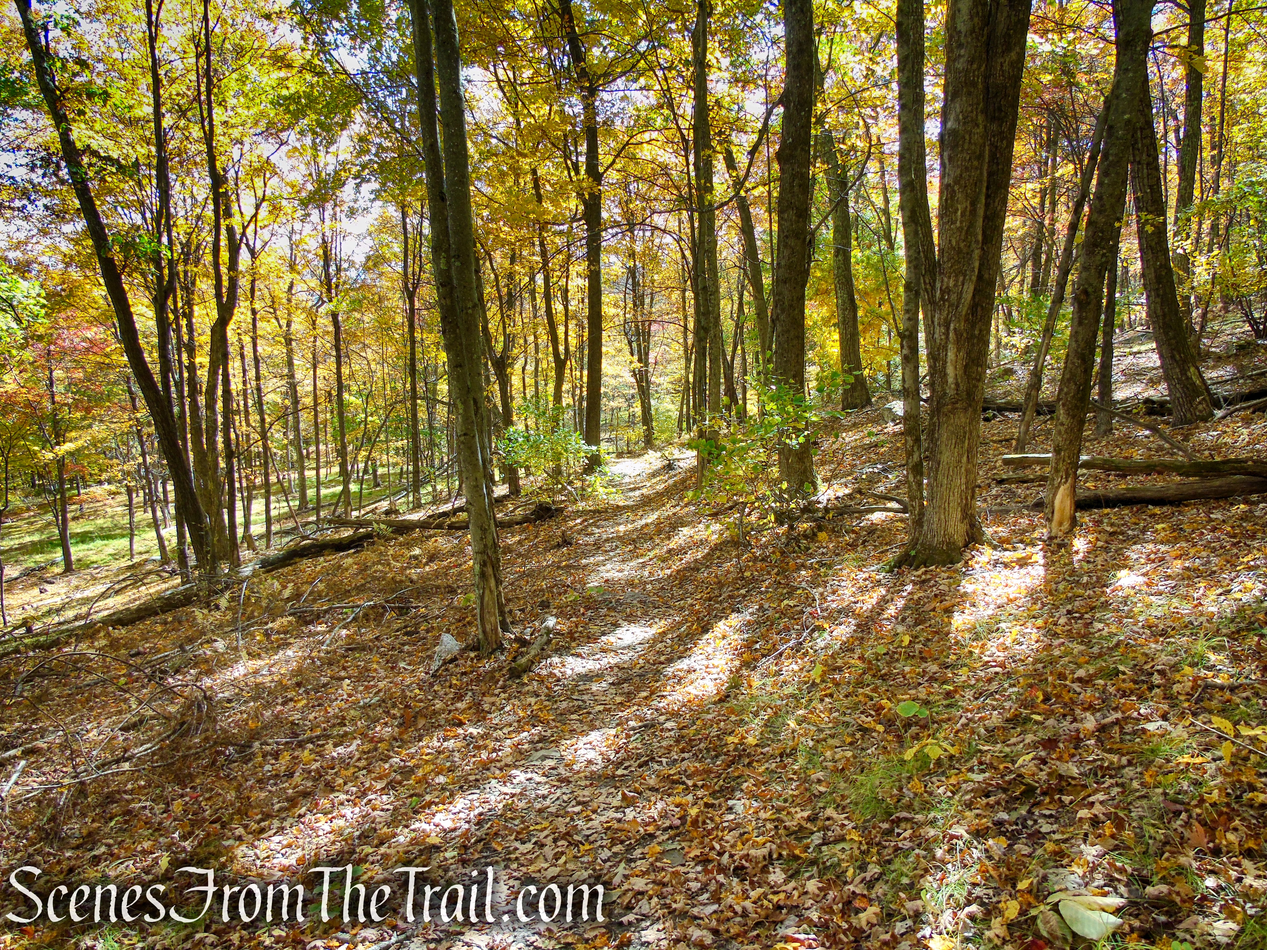 Red Trail - Shawangunk Ridge State Forest