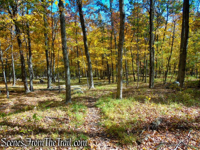 Red Trail - Shawangunk Ridge State Forest