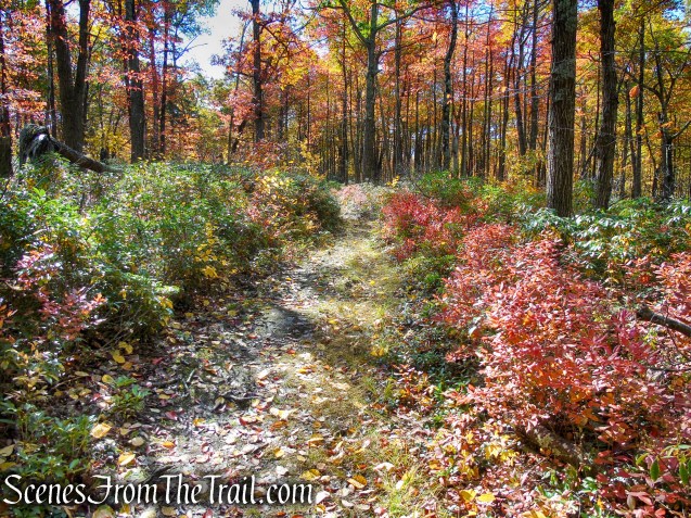 Red Trail - Shawangunk Ridge State Forest