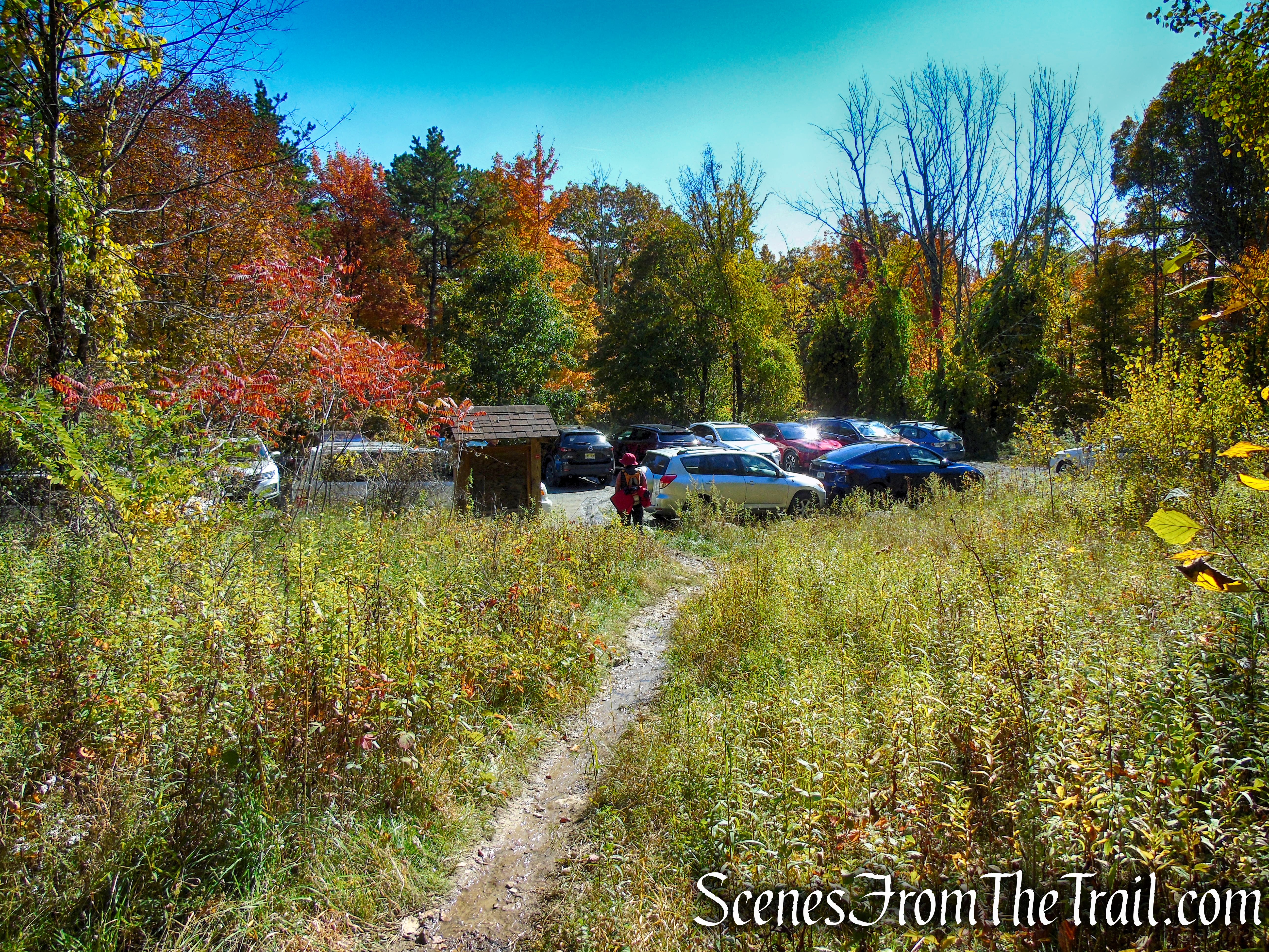 Red Trail - Shawangunk Ridge State Forest