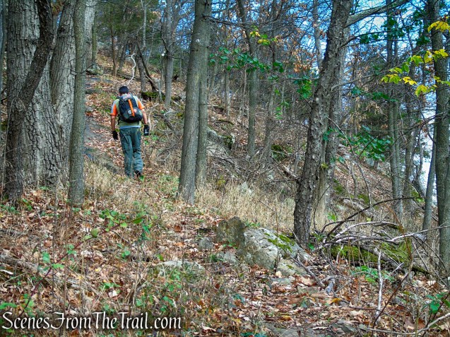 Snake Hill from San Giacomo Park
