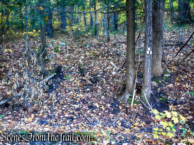 White Connector Trail - Wurtsboro Ridge State Forest