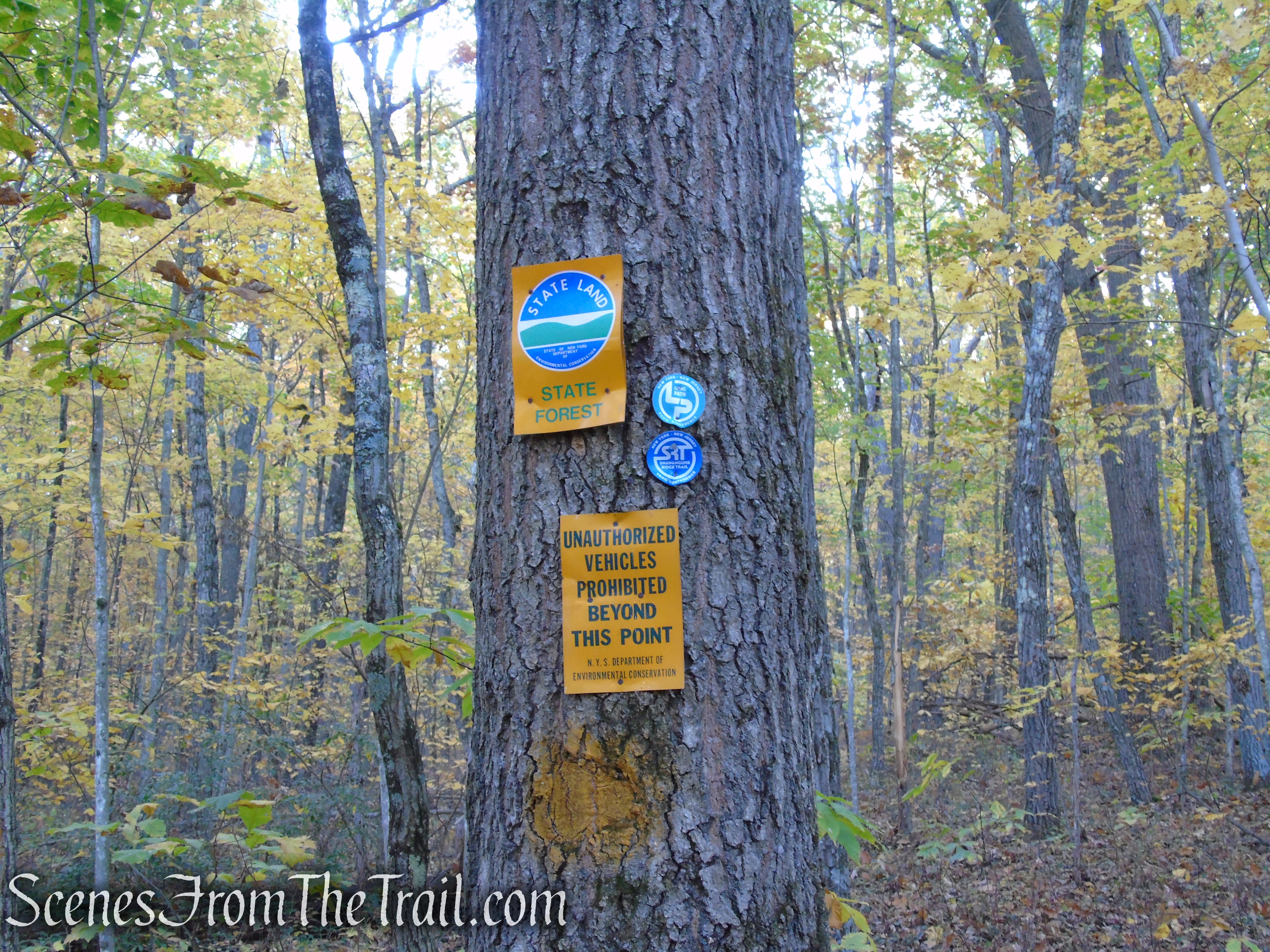 White Connector Trail - Wurtsboro Ridge State Forest