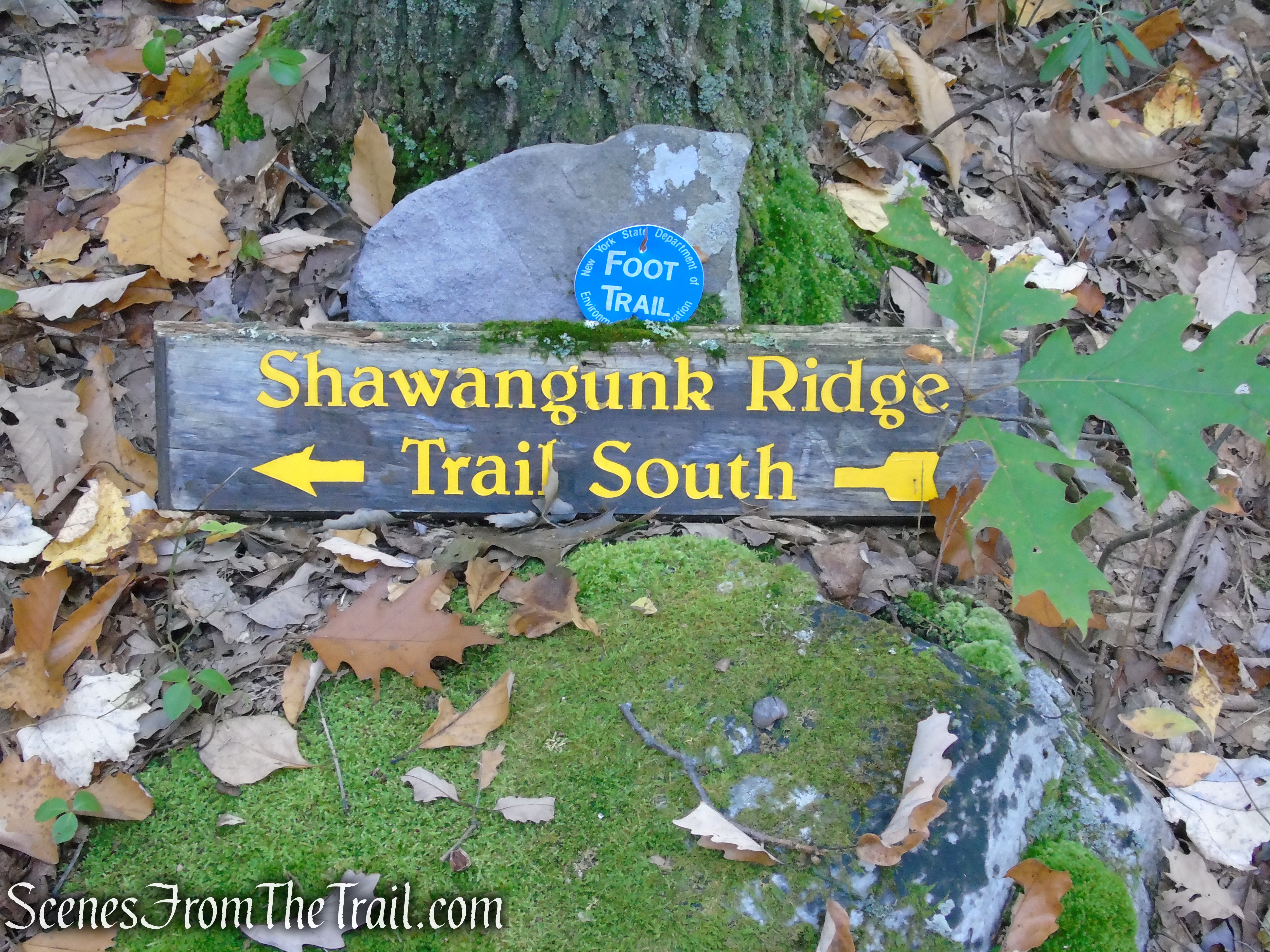 Long Path/SRT - Wurtsboro Ridge State Forest